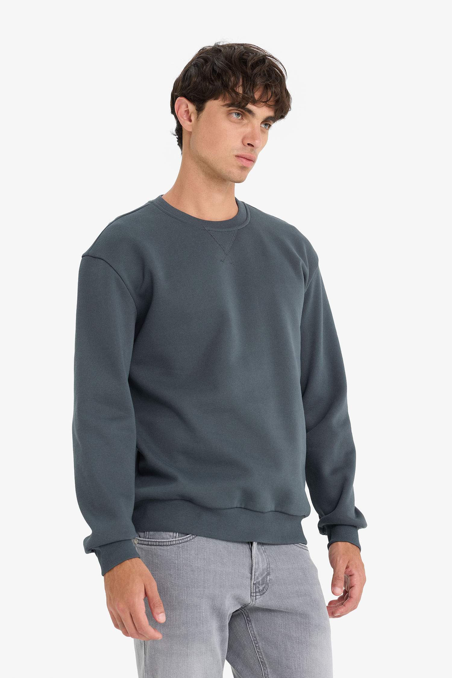 Regular Fit Crew Neck Basic Thick Sweatshirt