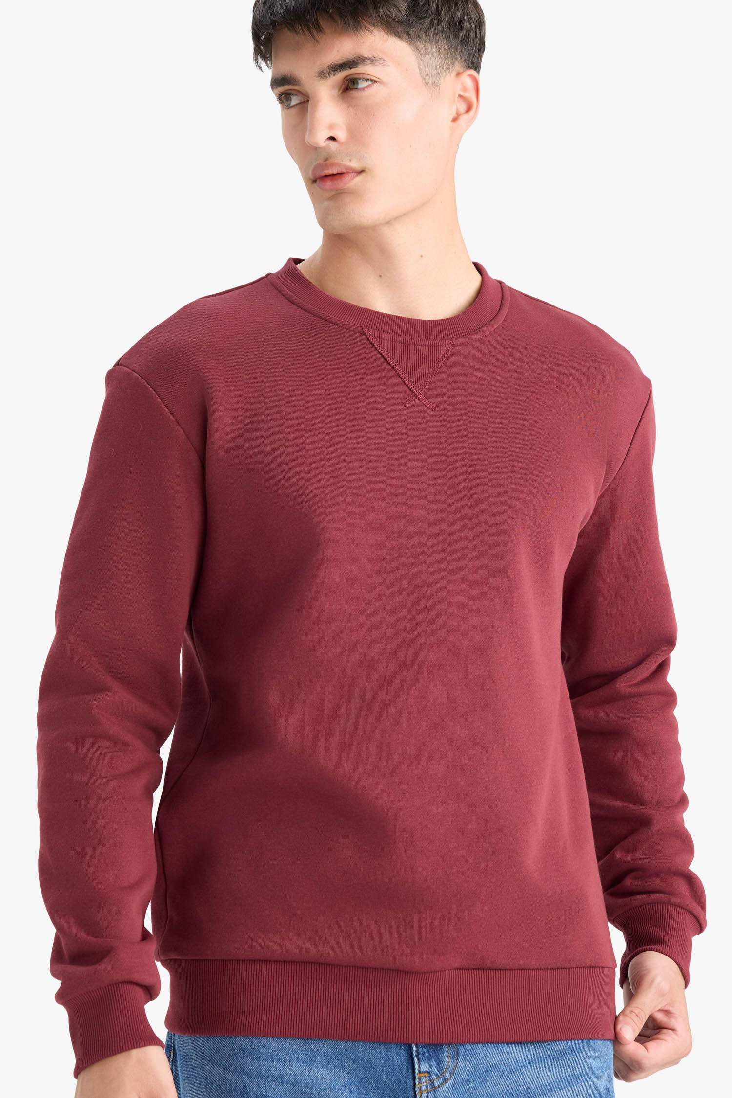 Regular Fit Bisiklet Yaka Basic Düz Kalın Sweatshirt
