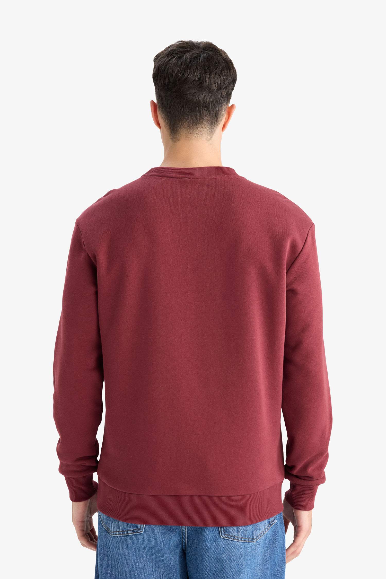 Regular Fit Crew Neck Basic Thick Sweatshirt