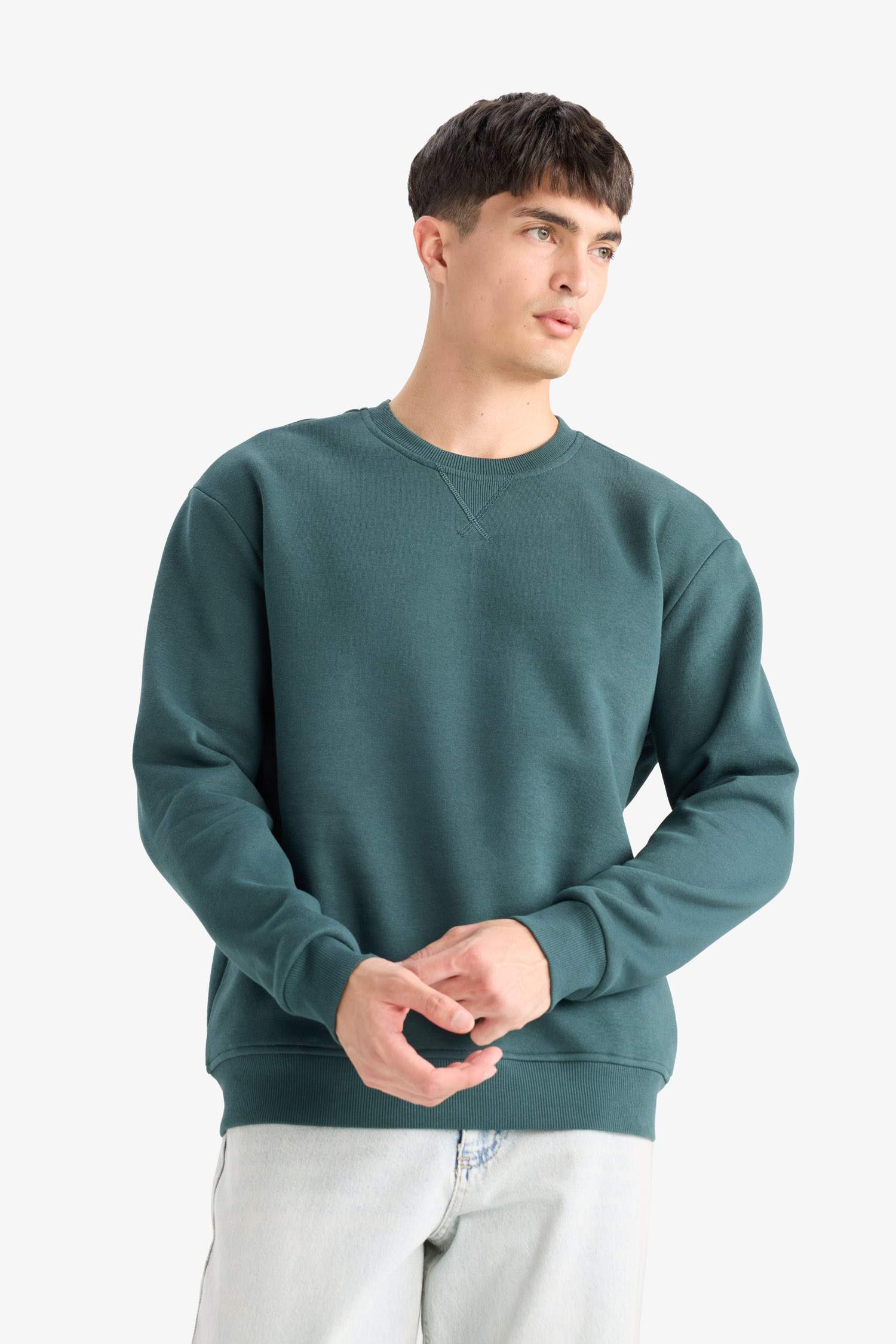 Regular Fit Crew Neck Basic Thick Sweatshirt