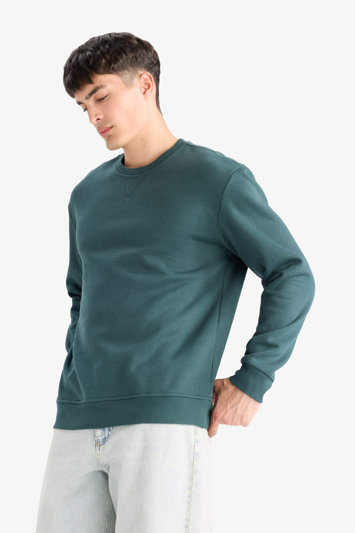 Regular Fit Crew Neck Basic Thick Sweatshirt