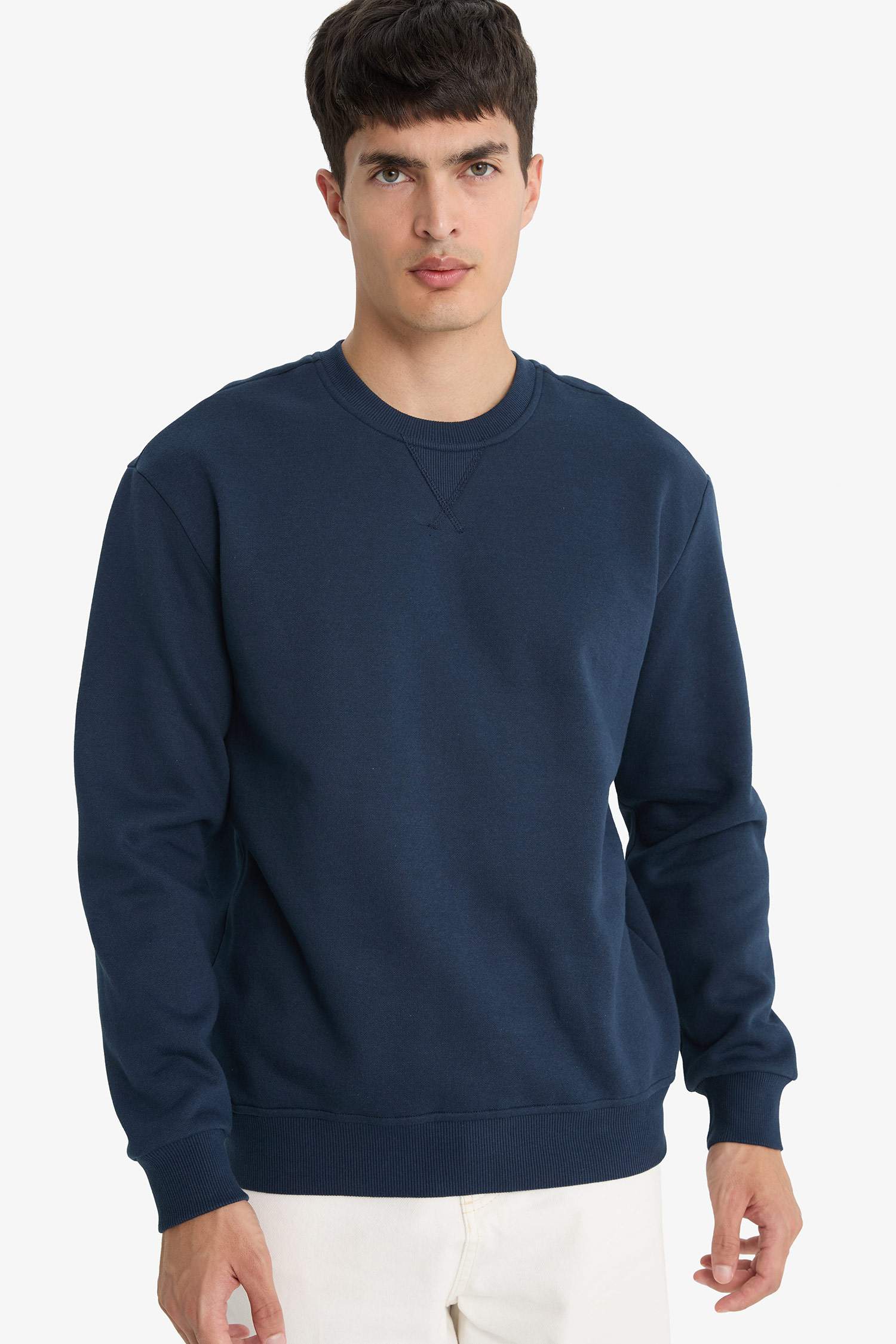 Regular Fit Crew Neck Basic Thick Sweatshirt