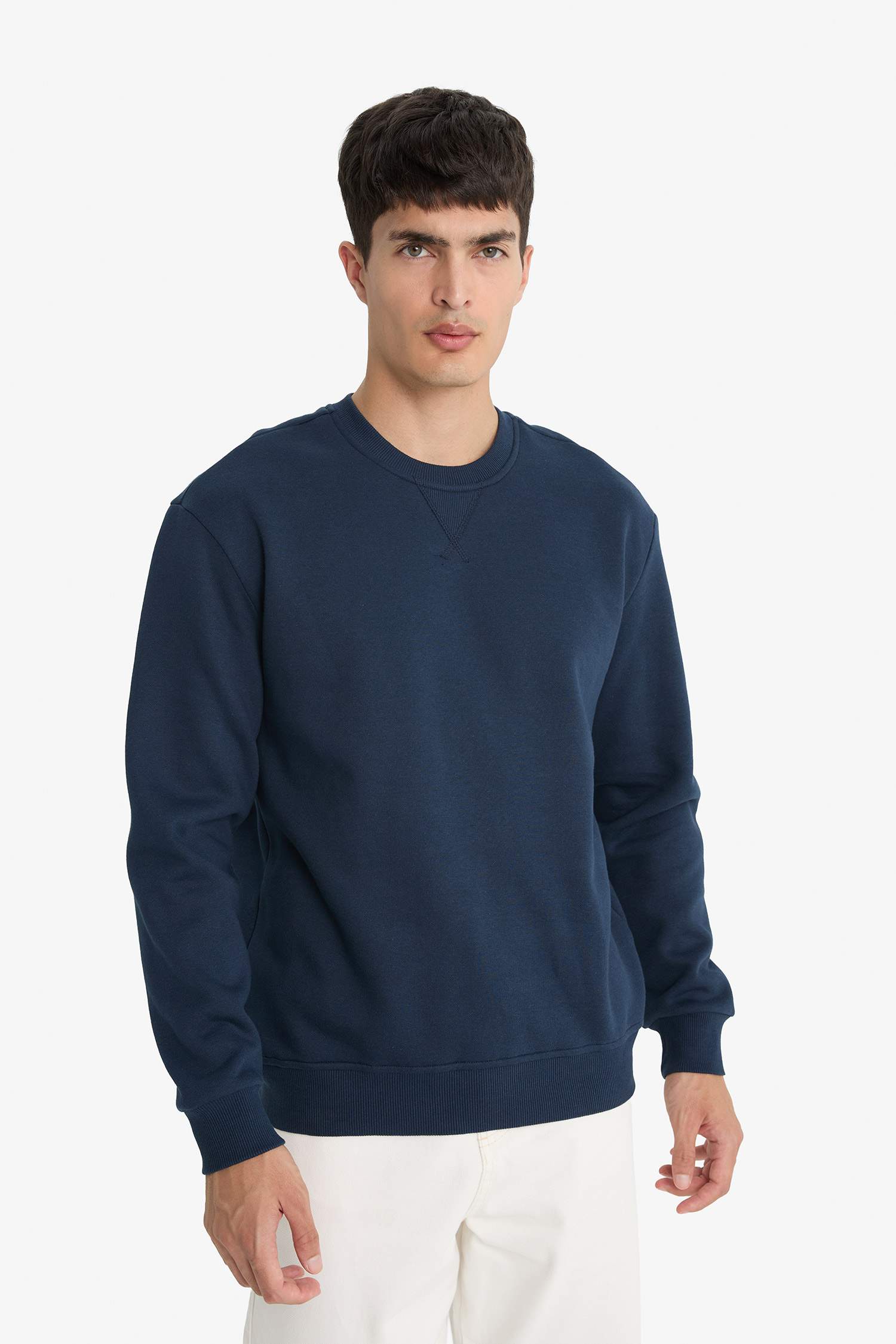 Regular Fit Crew Neck Basic Thick Sweatshirt