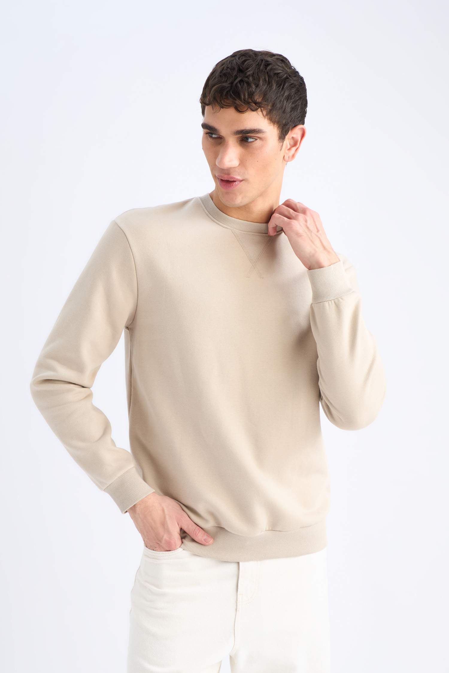 Regular Fit Bisiklet Yaka Kalın Basic Düz Sweatshirt