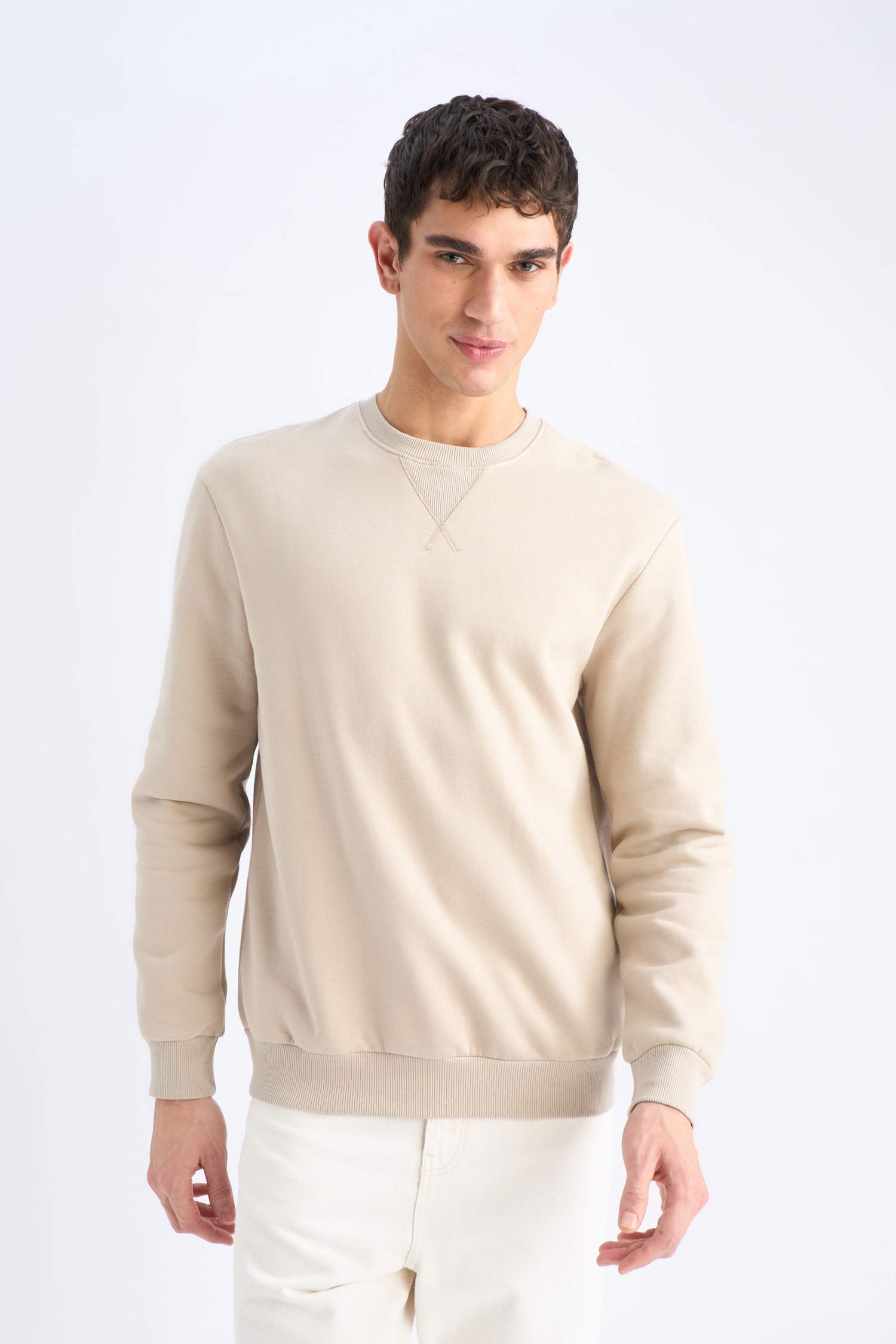 Regular Fit Bisiklet Yaka Kalın Basic Düz Sweatshirt