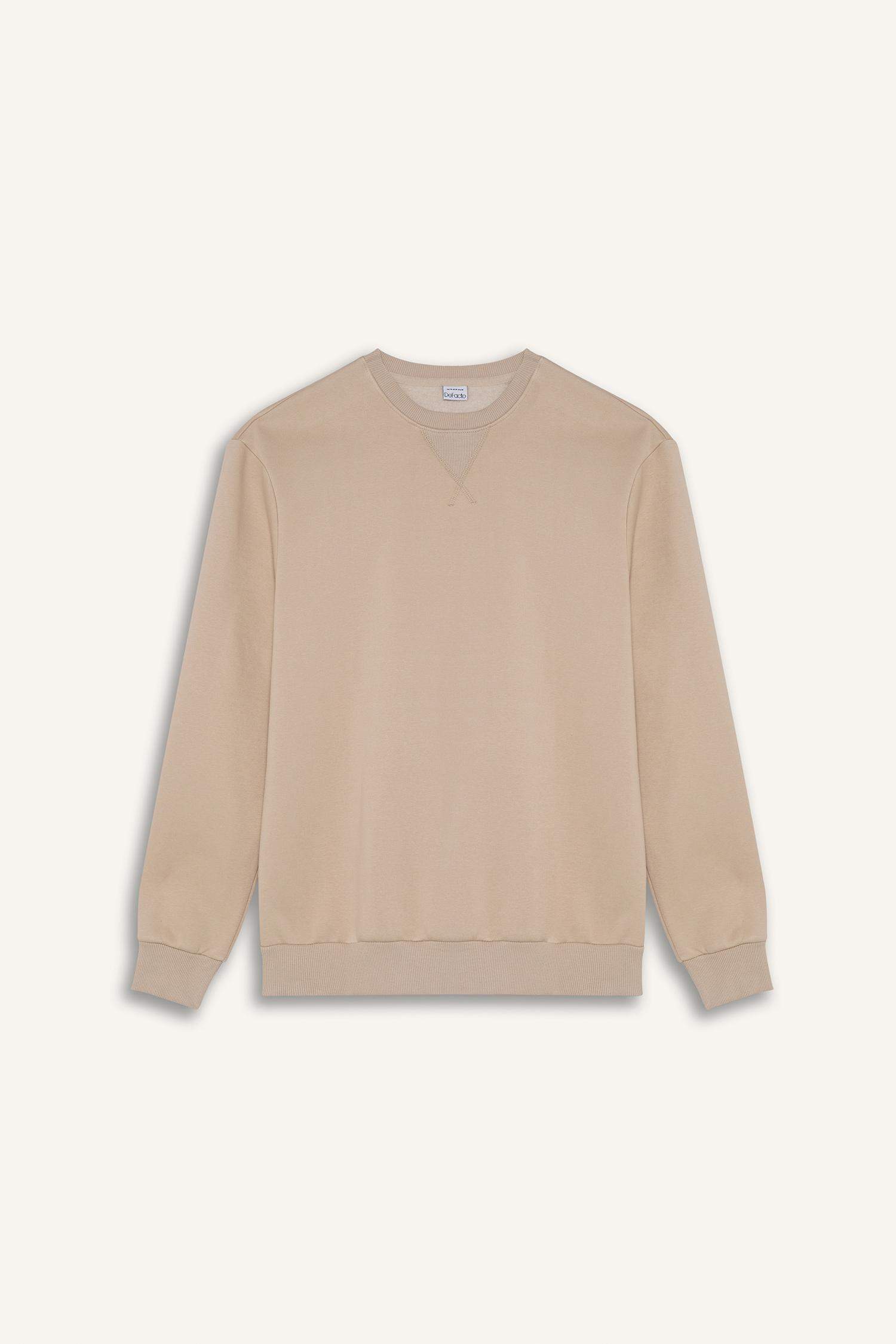 Regular Fit Bisiklet Yaka Kalın Basic Düz Sweatshirt