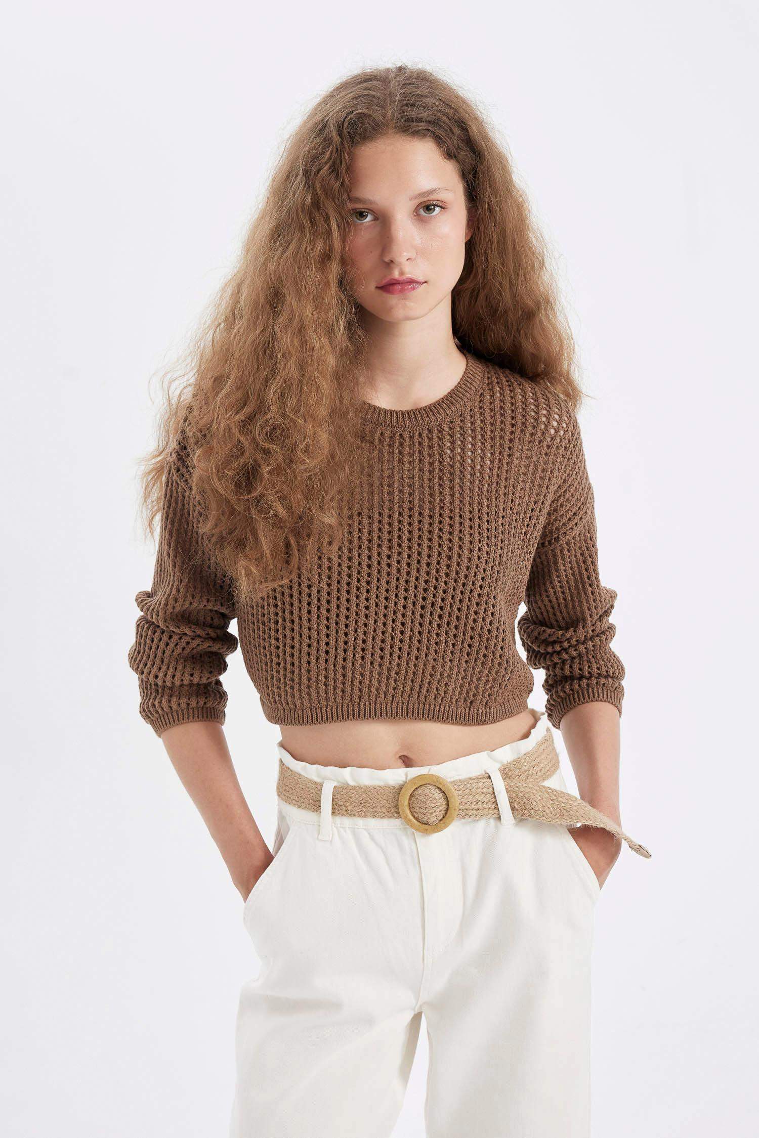 Regular Fit Crew Neck Crochet Openwork Crop Knitted Pullover