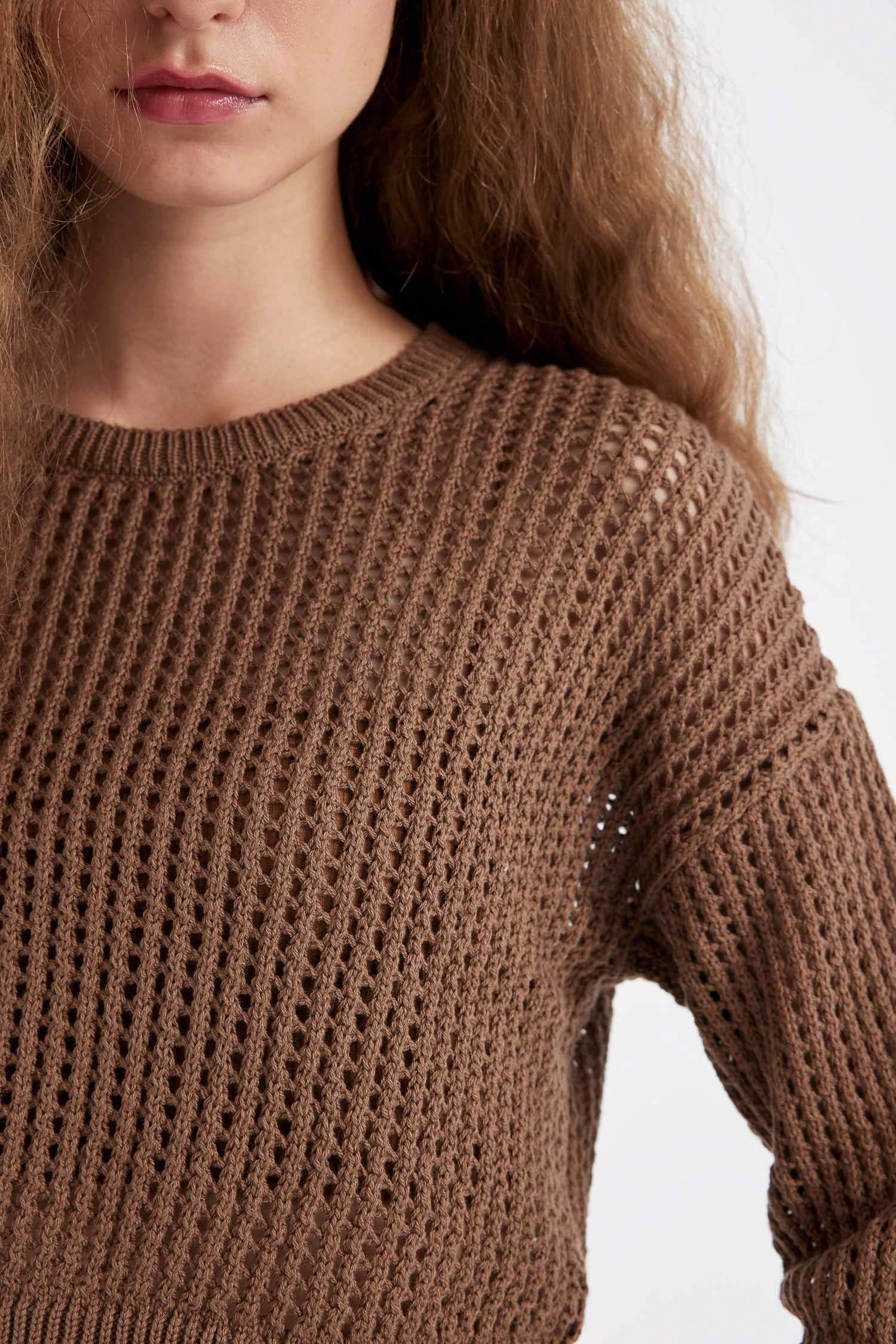 Regular Fit Crew Neck Crochet Openwork Crop Knitted Pullover