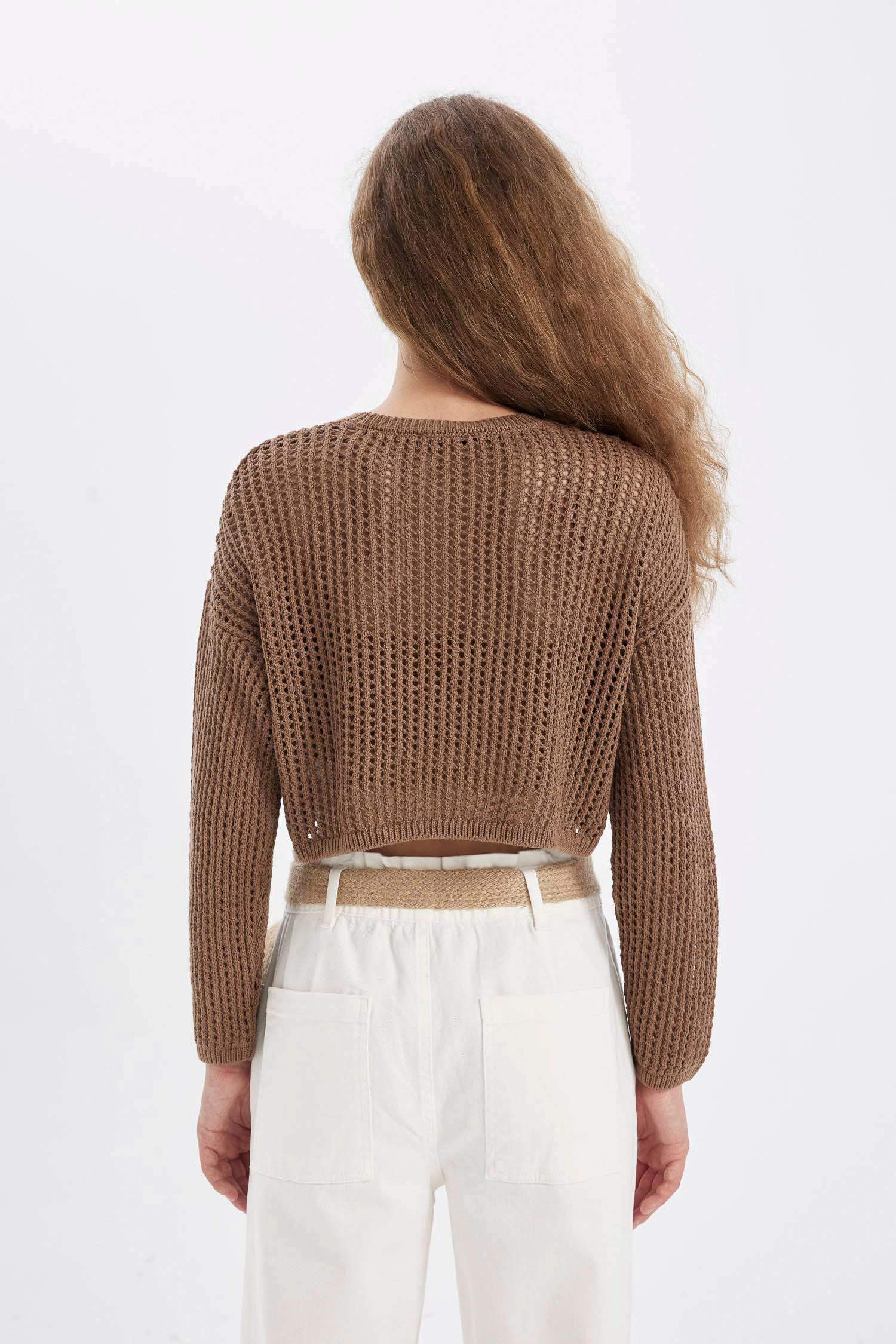 Regular Fit Crew Neck Crochet Openwork Crop Knitted Pullover