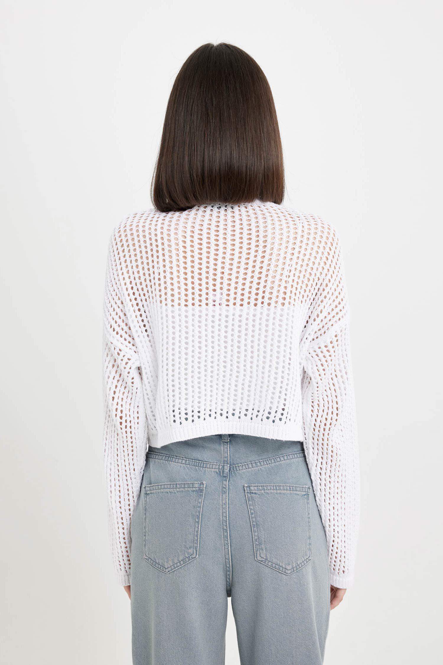 Regular Fit Crew Neck Crochet Openwork Crop Knitted Pullover