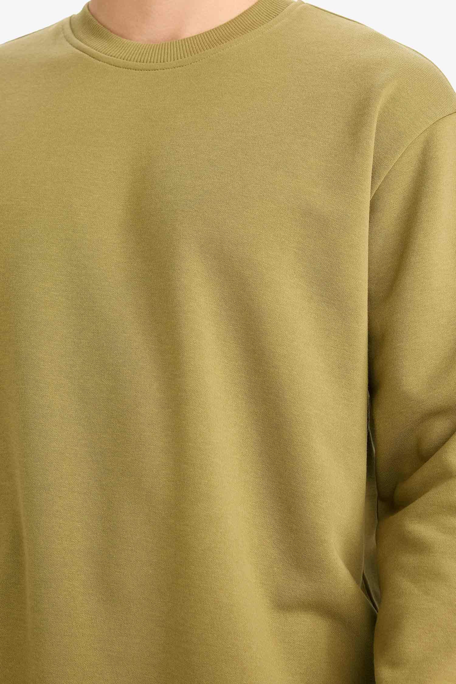 Relax Fit Bisiklet Yaka Kalın İçi Yumuşak Tüylü Basic Düz Sweatshirt