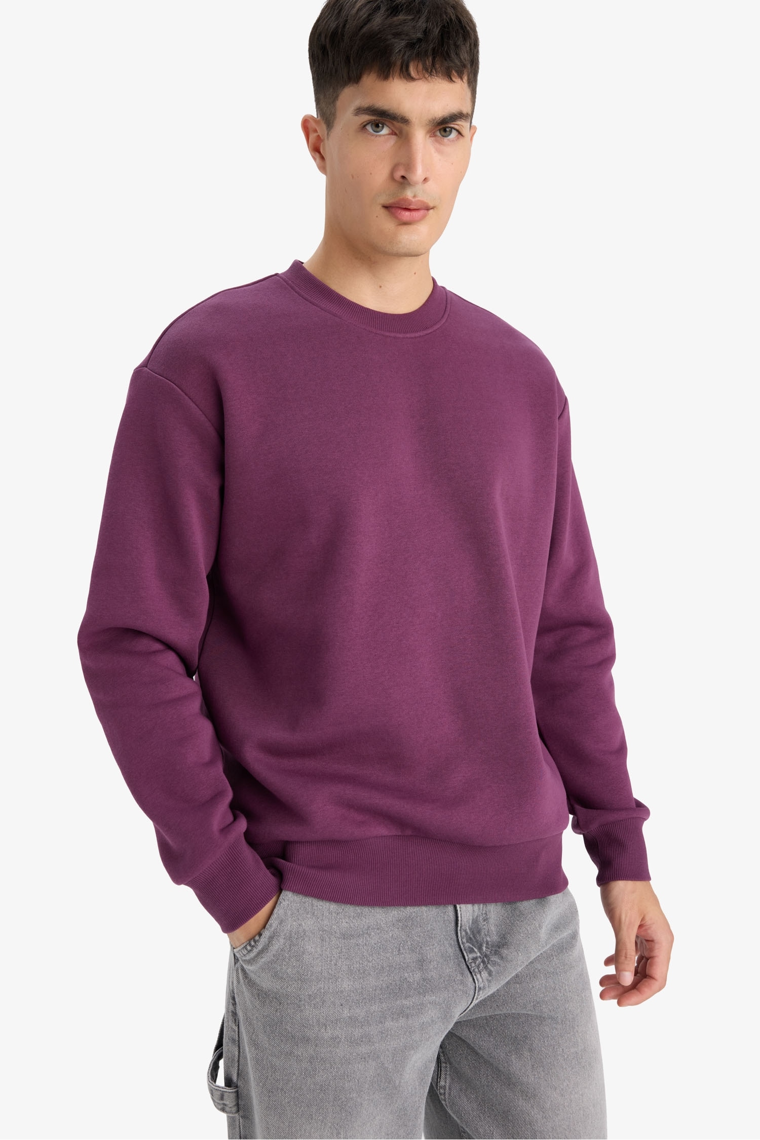 Relax Fit Bisiklet Yaka Kalın İçi Yumuşak Tüylü Basic Düz Sweatshirt