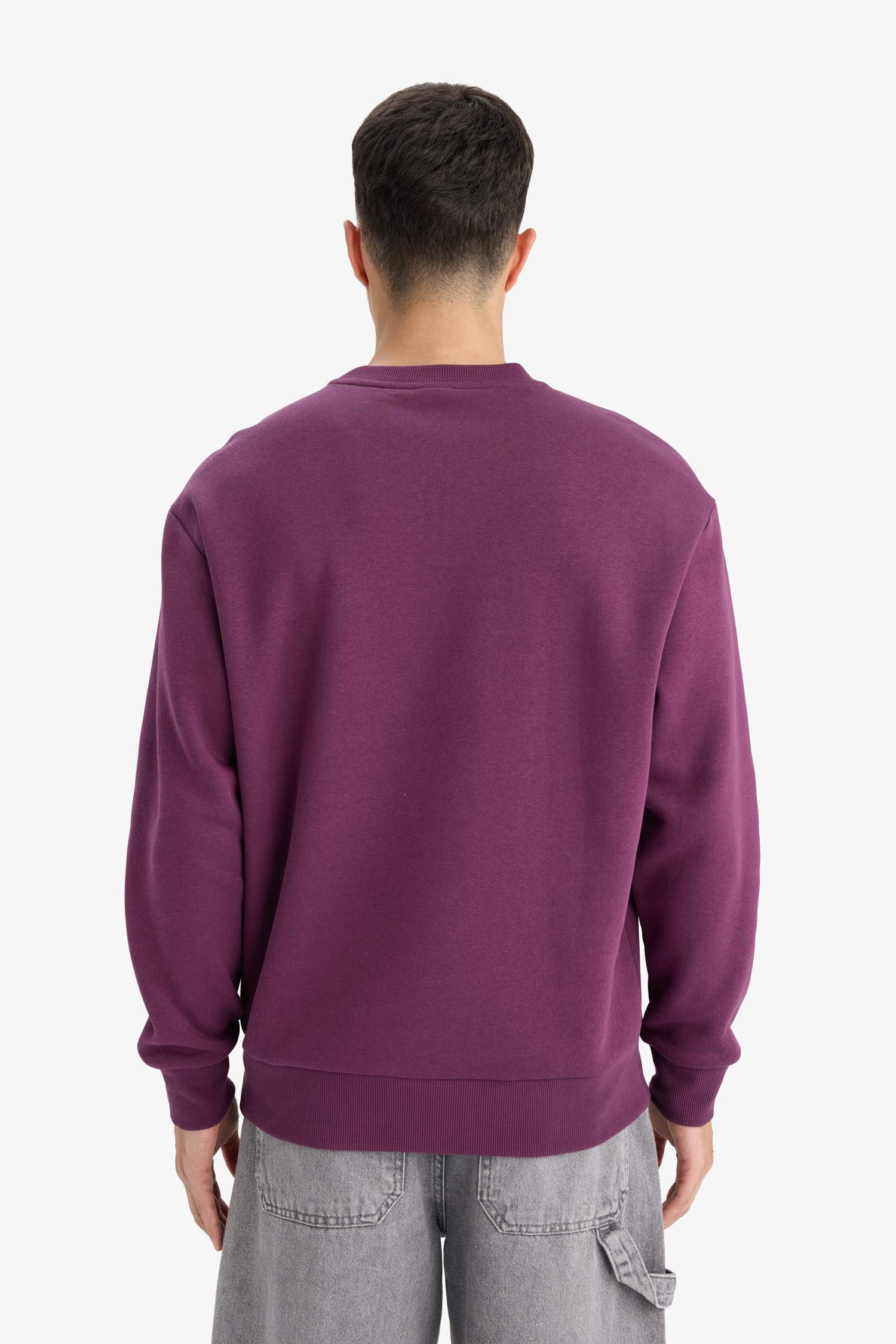 Relax Fit Bisiklet Yaka Kalın İçi Yumuşak Tüylü Basic Düz Sweatshirt