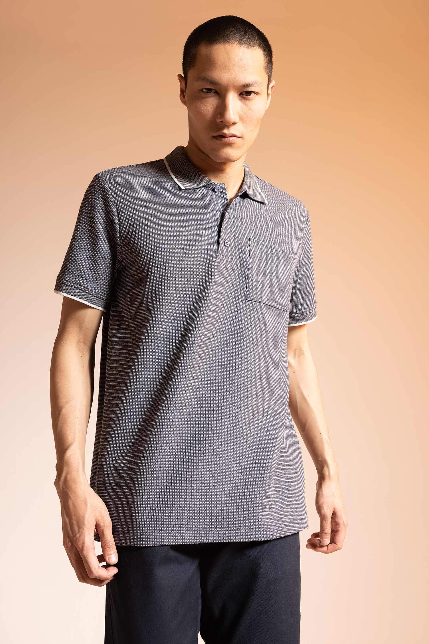 Футболка поло стандартного кроя