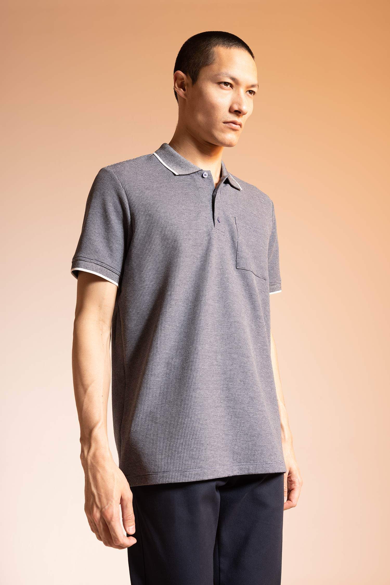 Футболка поло стандартного кроя