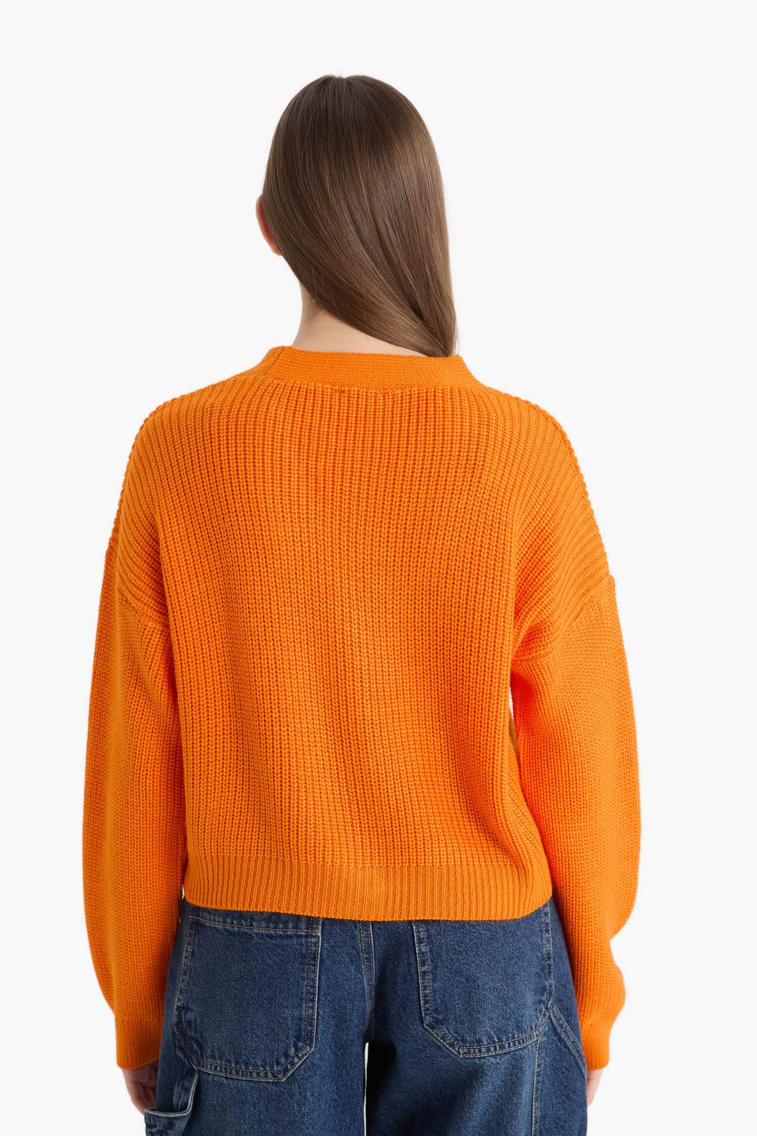 Regular Fit V-Neck Cardigan