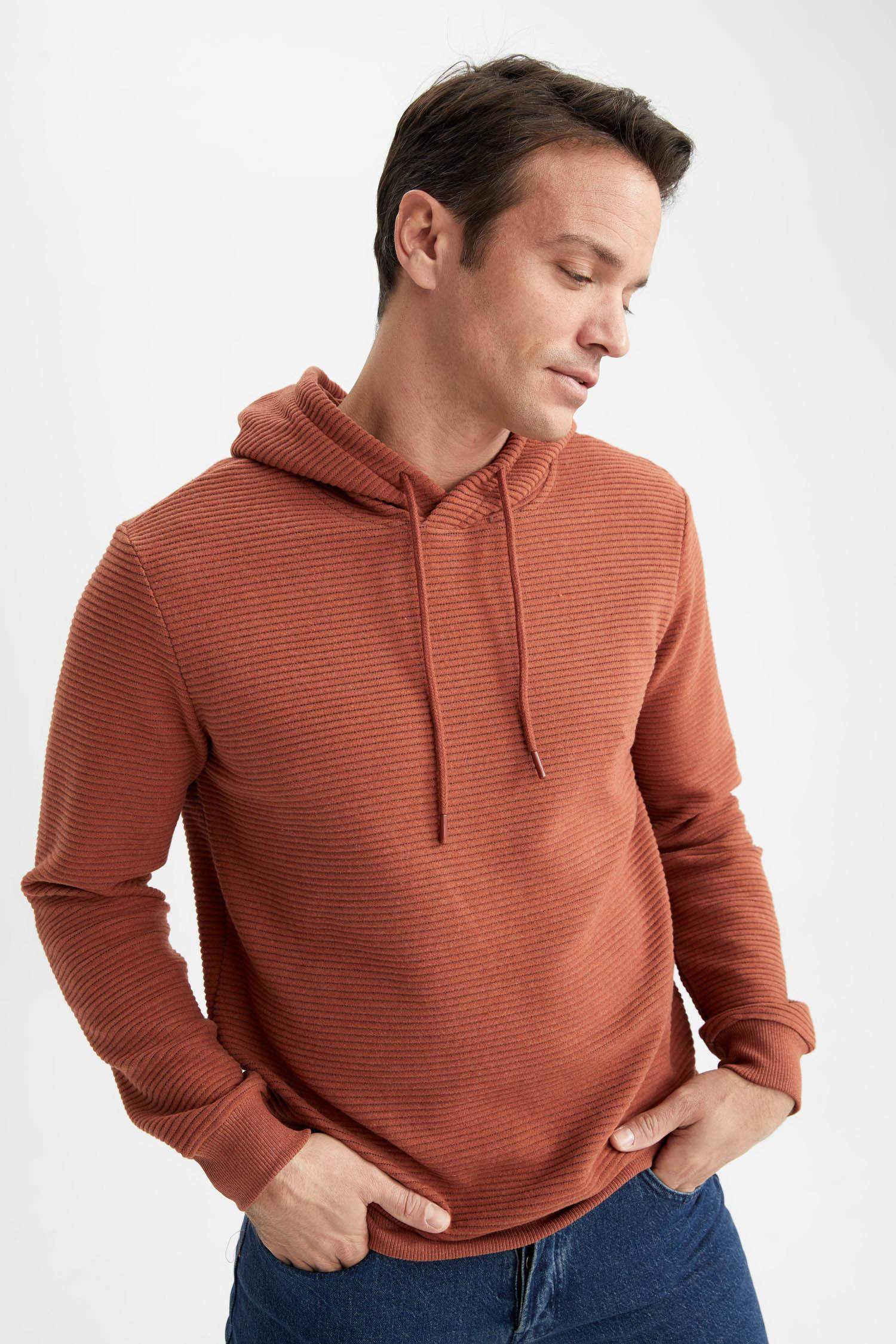 Regular Fit Kapüşonlu Basic Sweatshirt