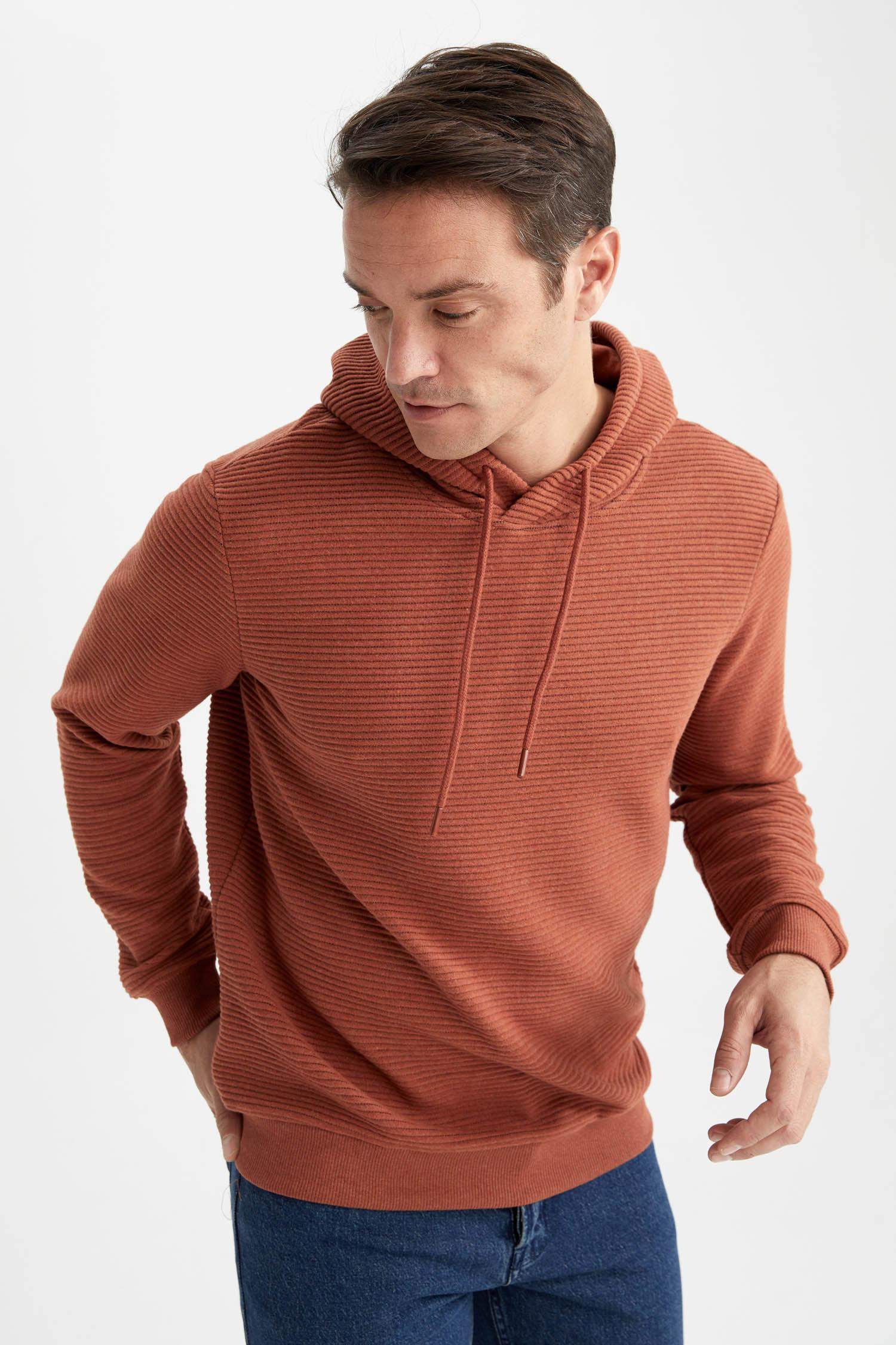 Regular Fit Kapüşonlu Basic Sweatshirt