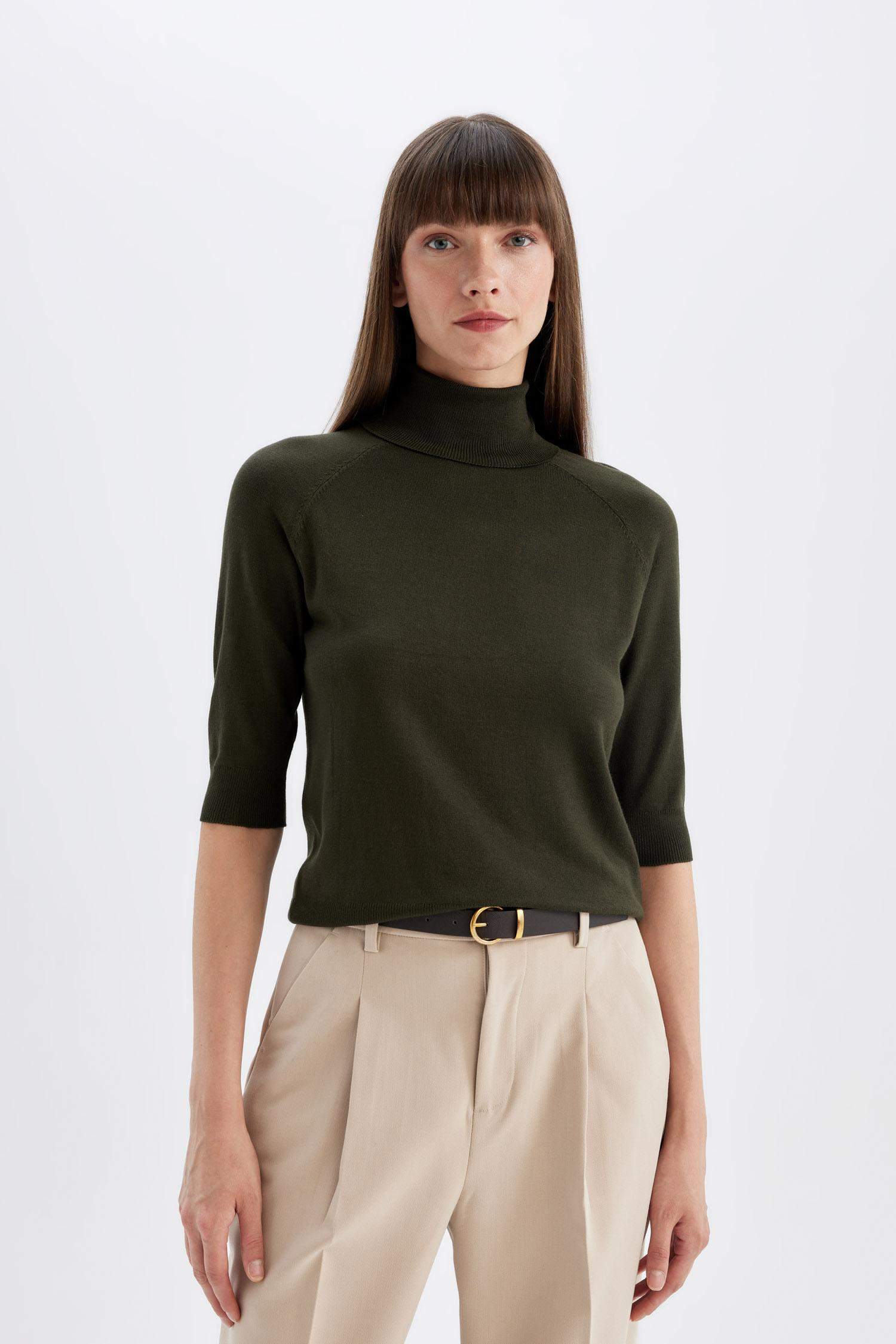 Regular Fit Turtleneck Basic Knit Pullover