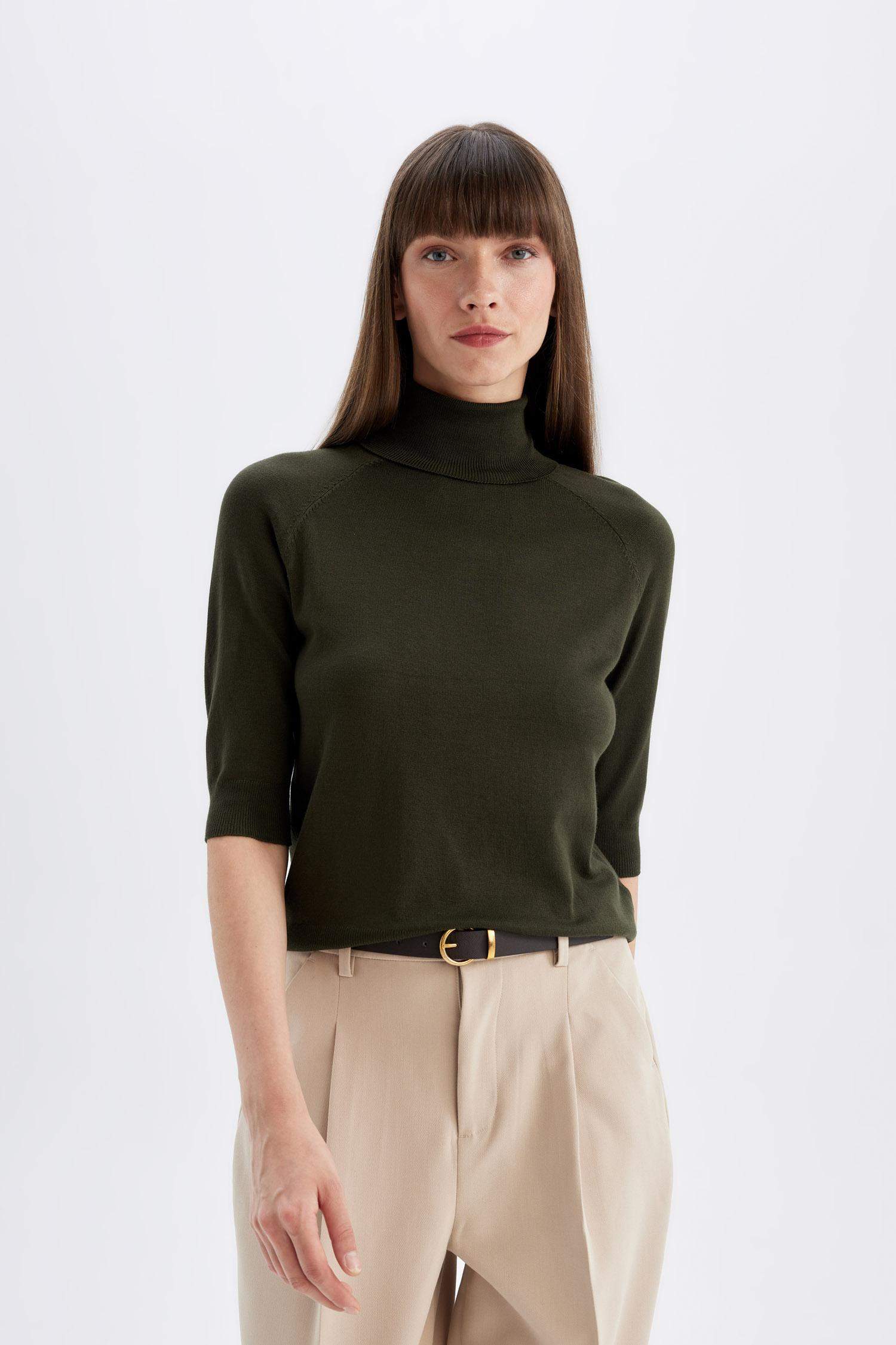 Regular Fit Turtleneck Basic Knit Pullover
