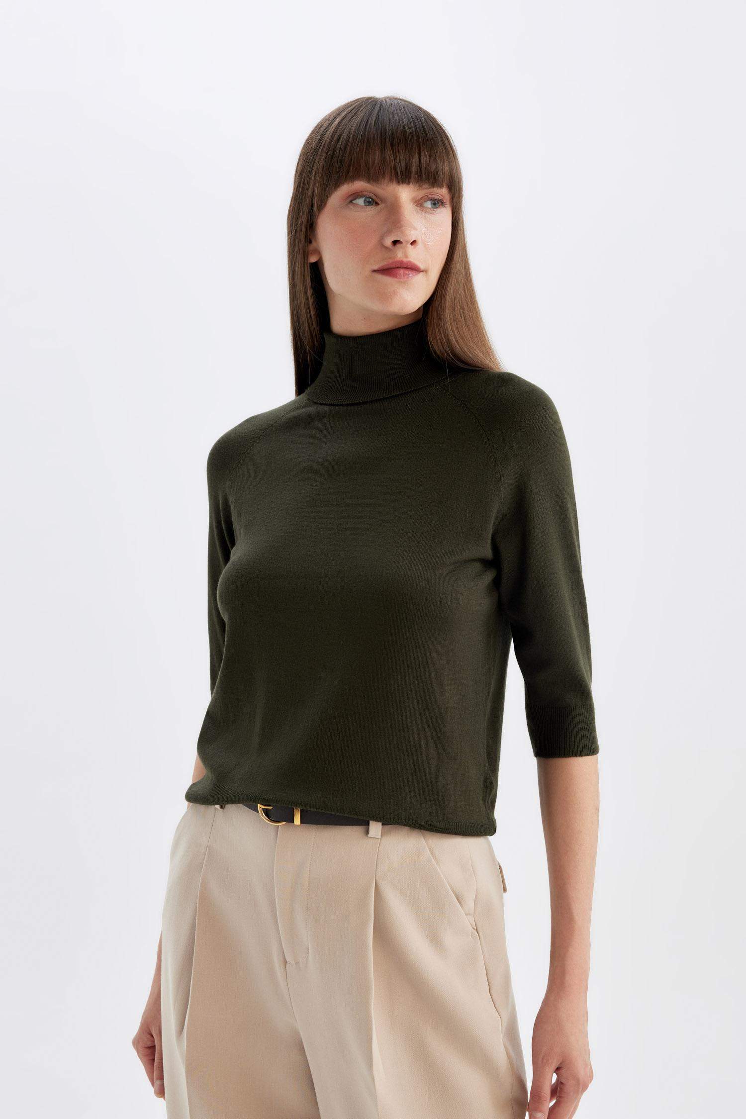 Regular Fit Turtleneck Basic Knit Pullover