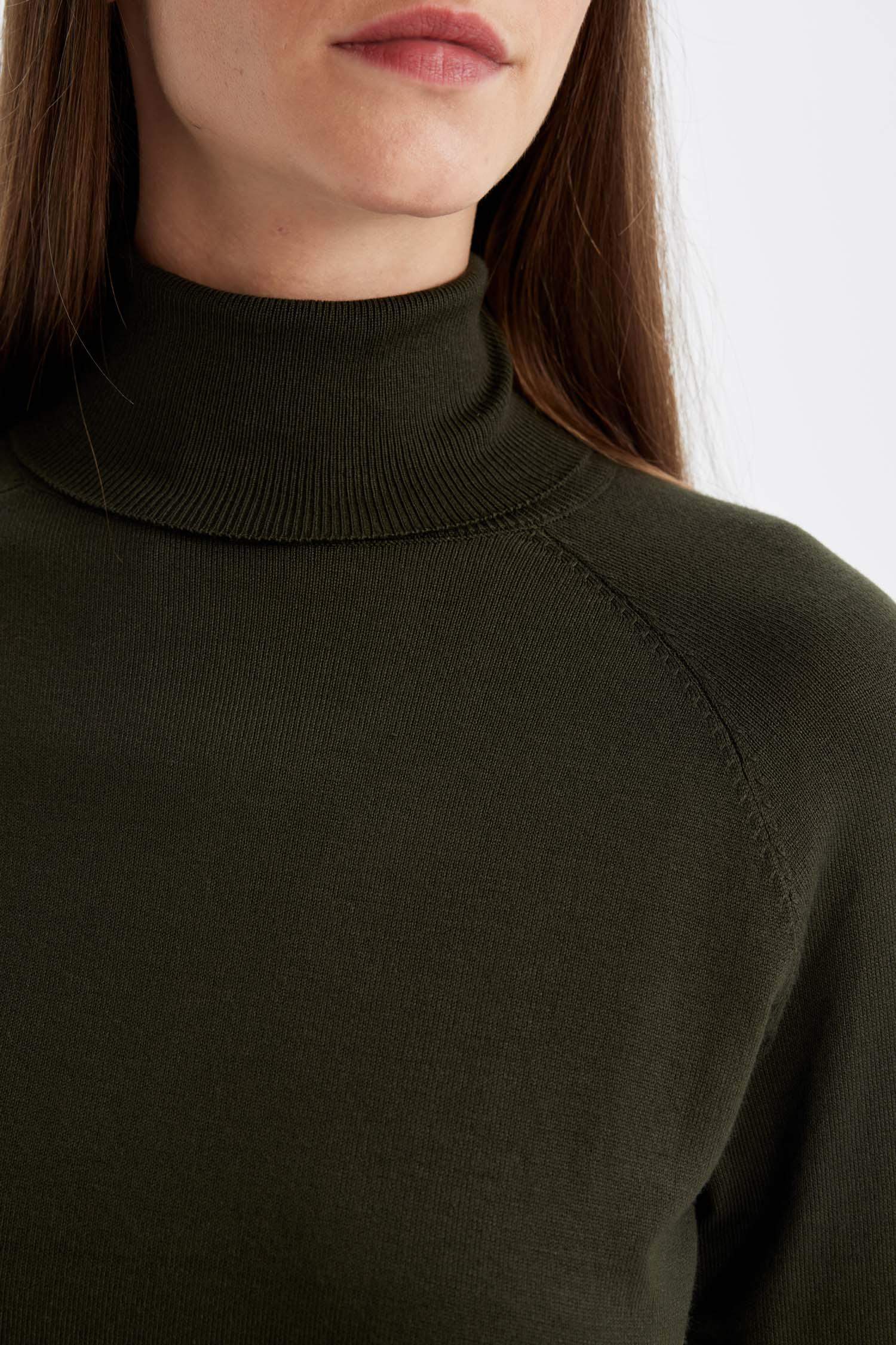 Regular Fit Turtleneck Basic Knit Pullover