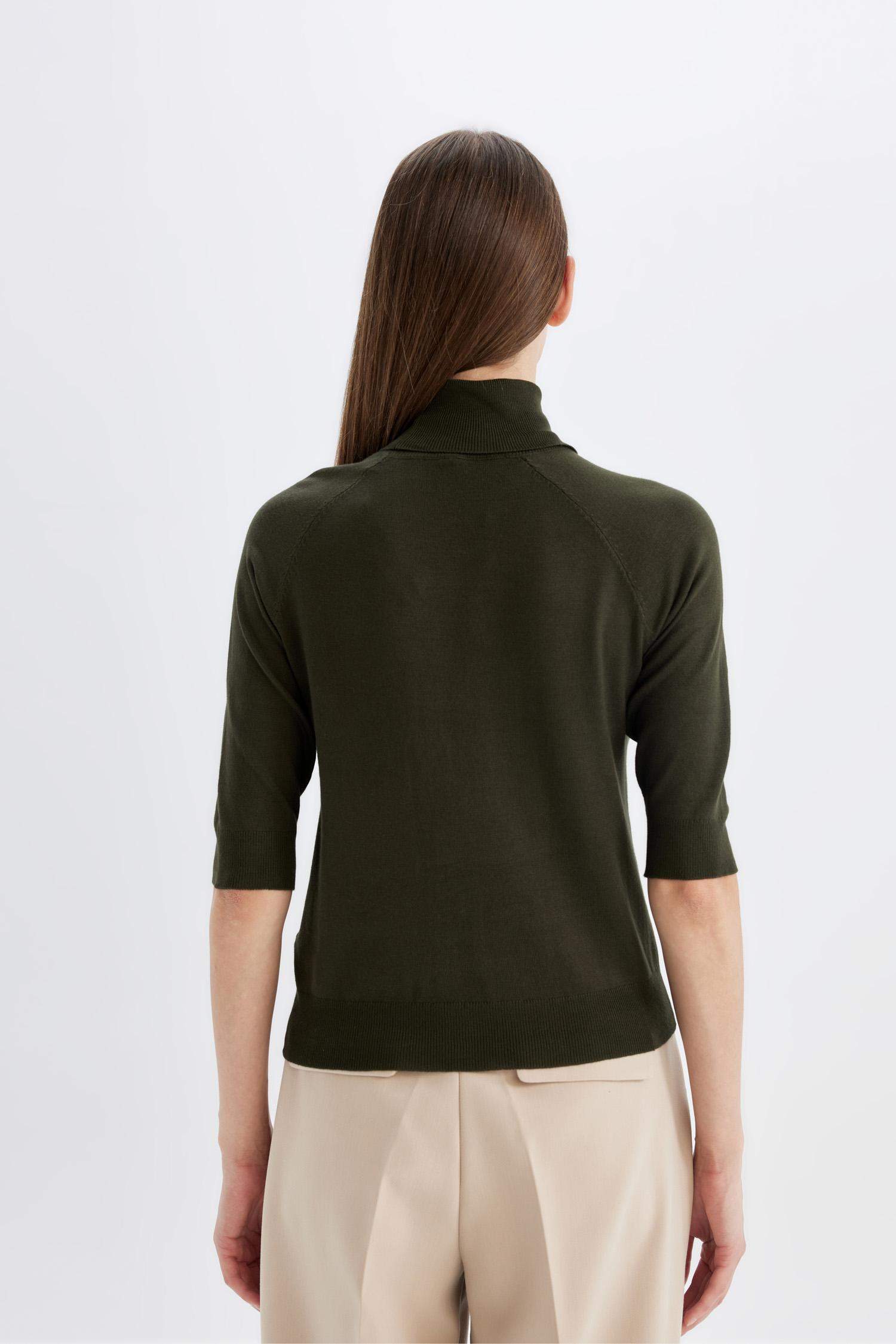 Regular Fit Turtleneck Basic Knit Pullover