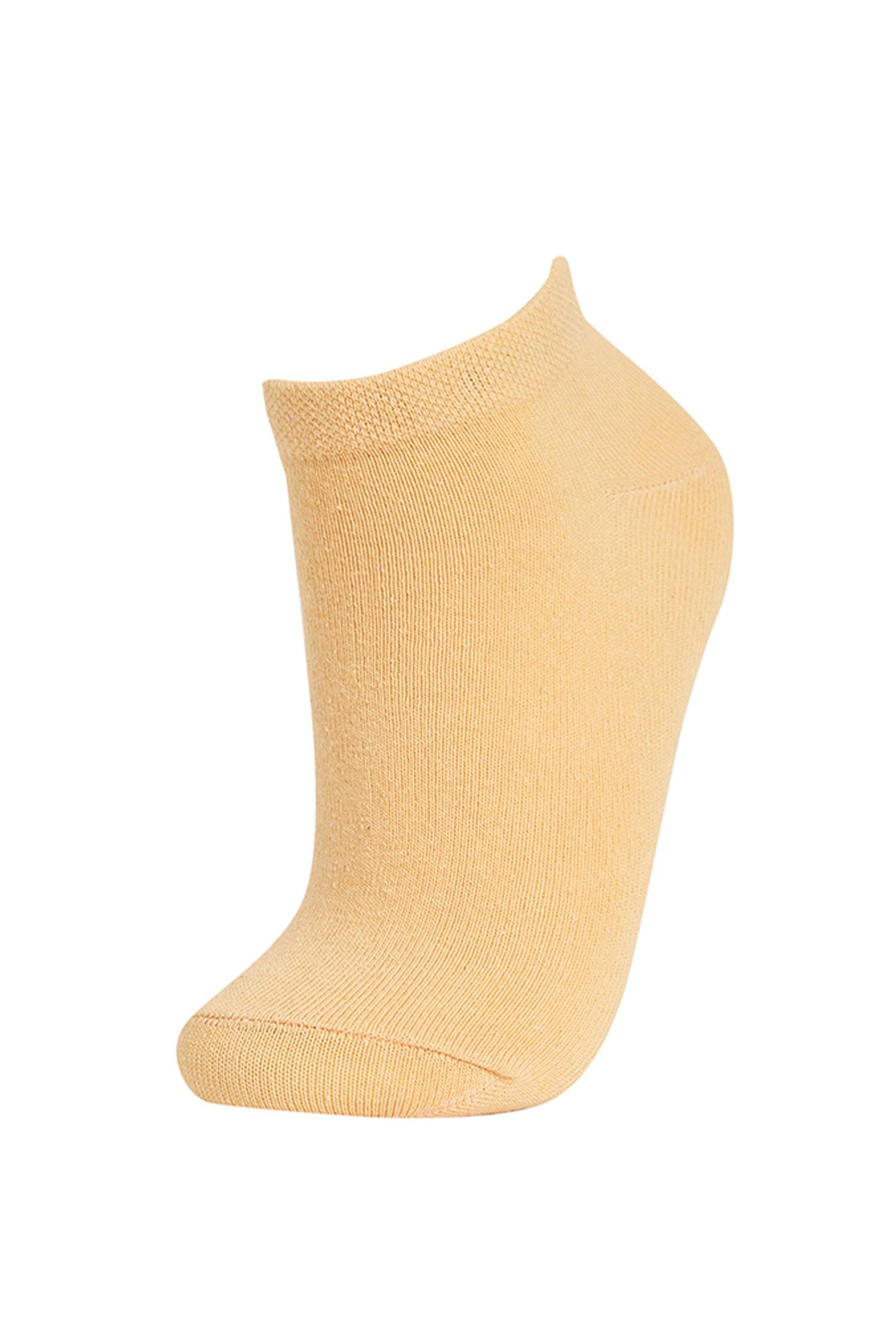 Kadın 5'li Pamuklu Patik Çorap