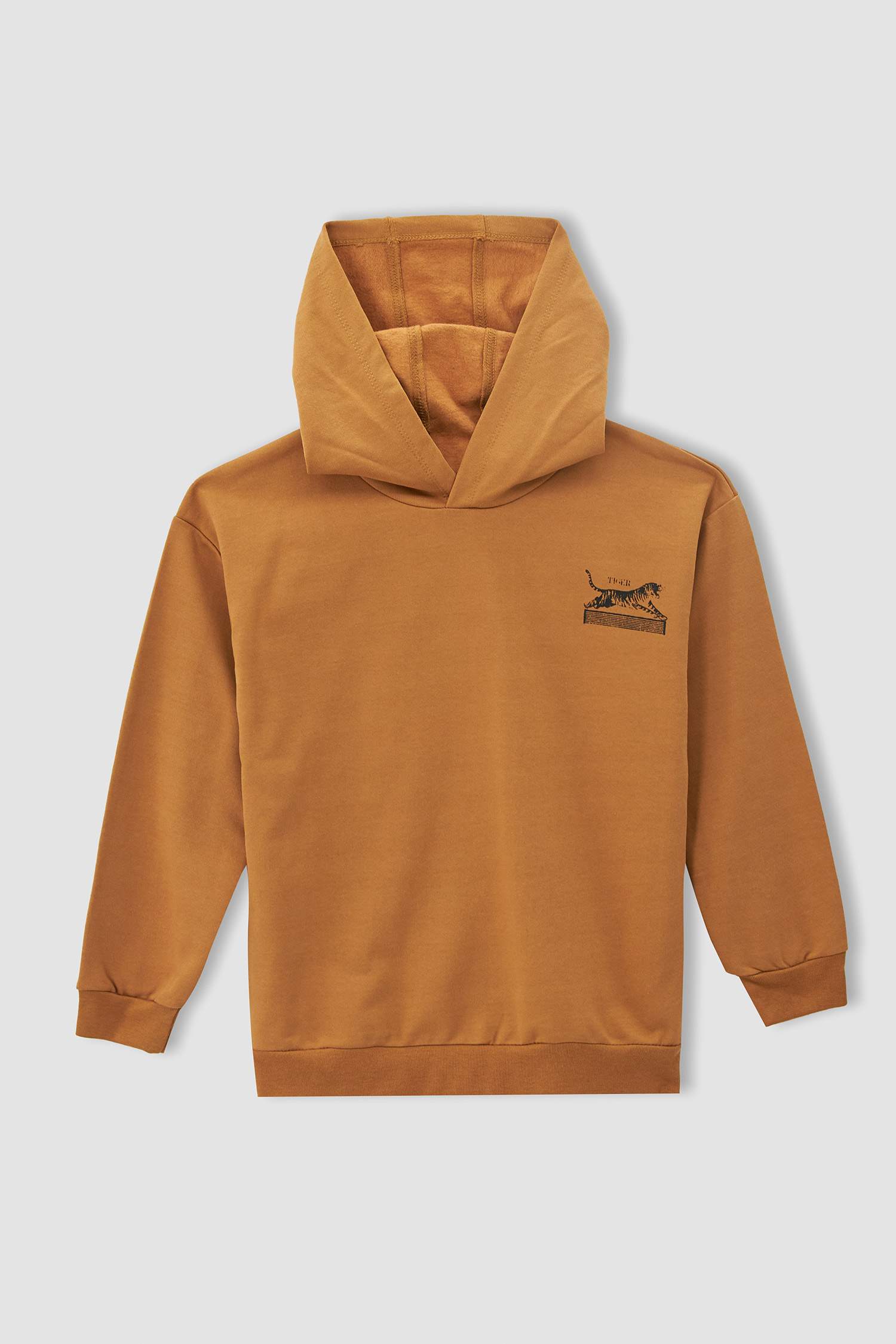 boys brown sweatshirt