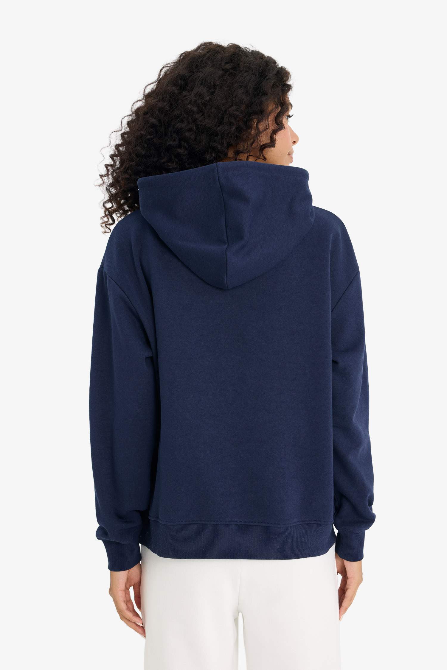 Regular Fit Hooded Basic Thick Fabric Sweatshirt