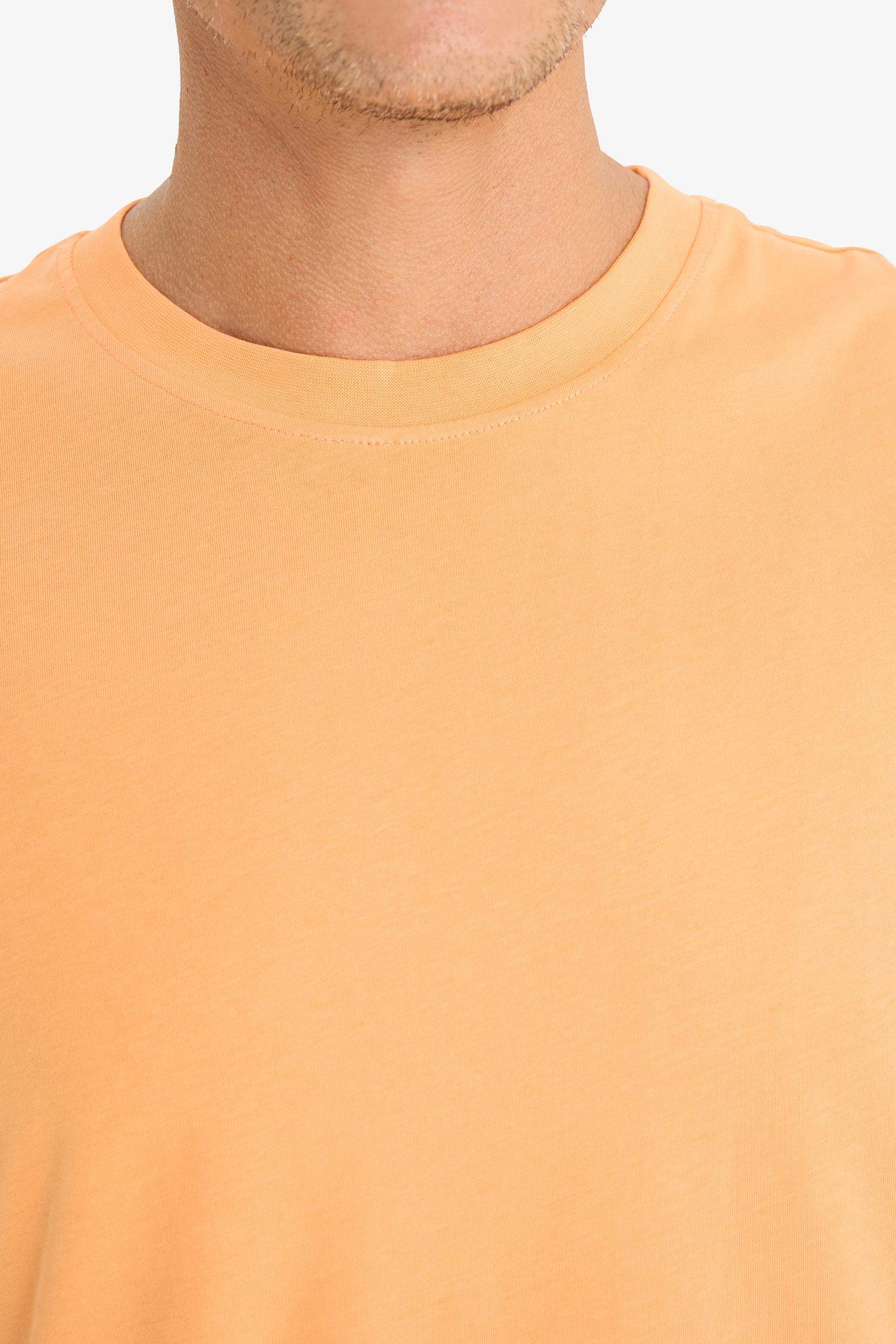 New Regular Fit Crew Neck Basic T-Shirt