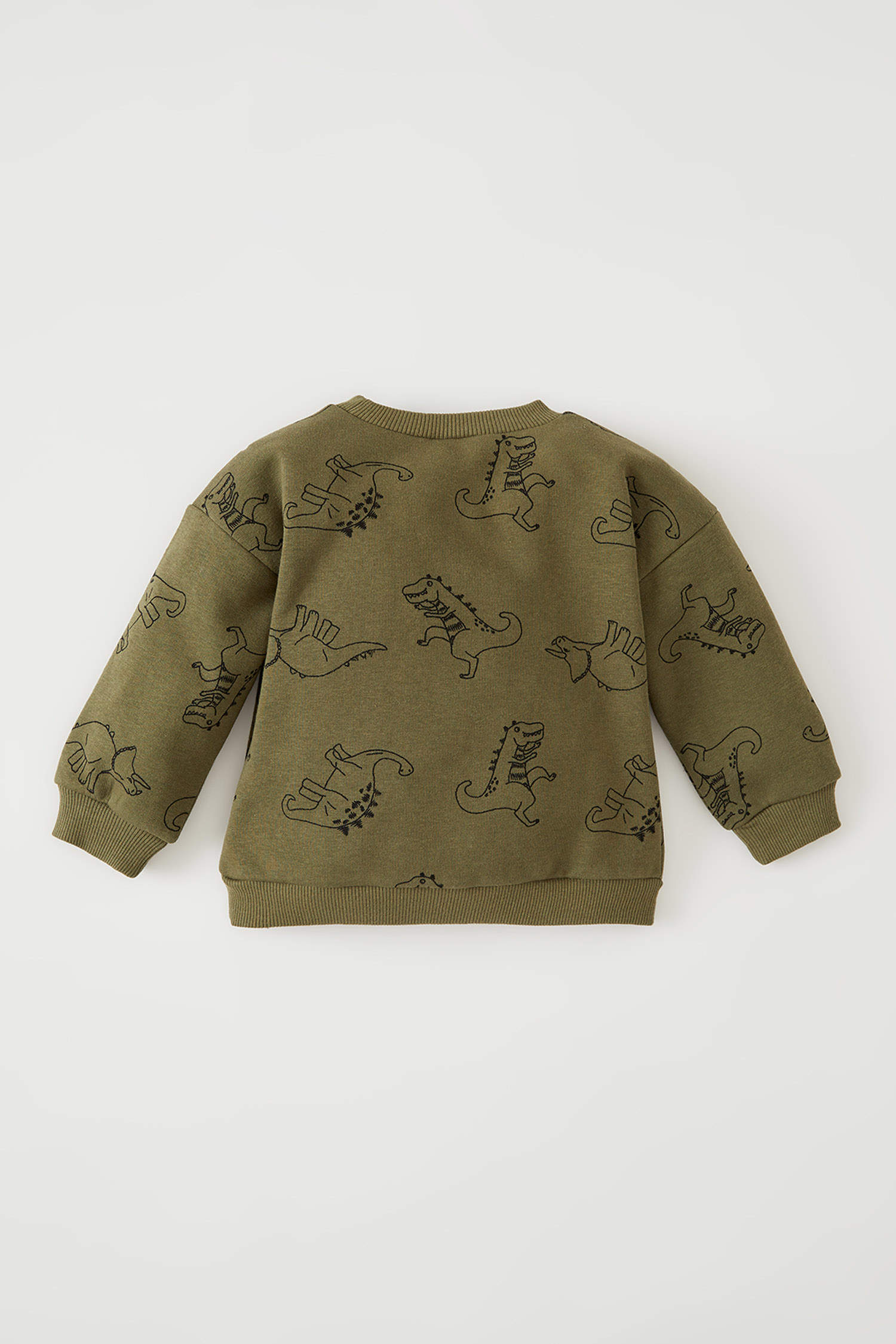 Defacto Erkek Bebek Regular Fit Dinozor Desenli İçi Yumuşak Tüylü Sweatshirt. 4