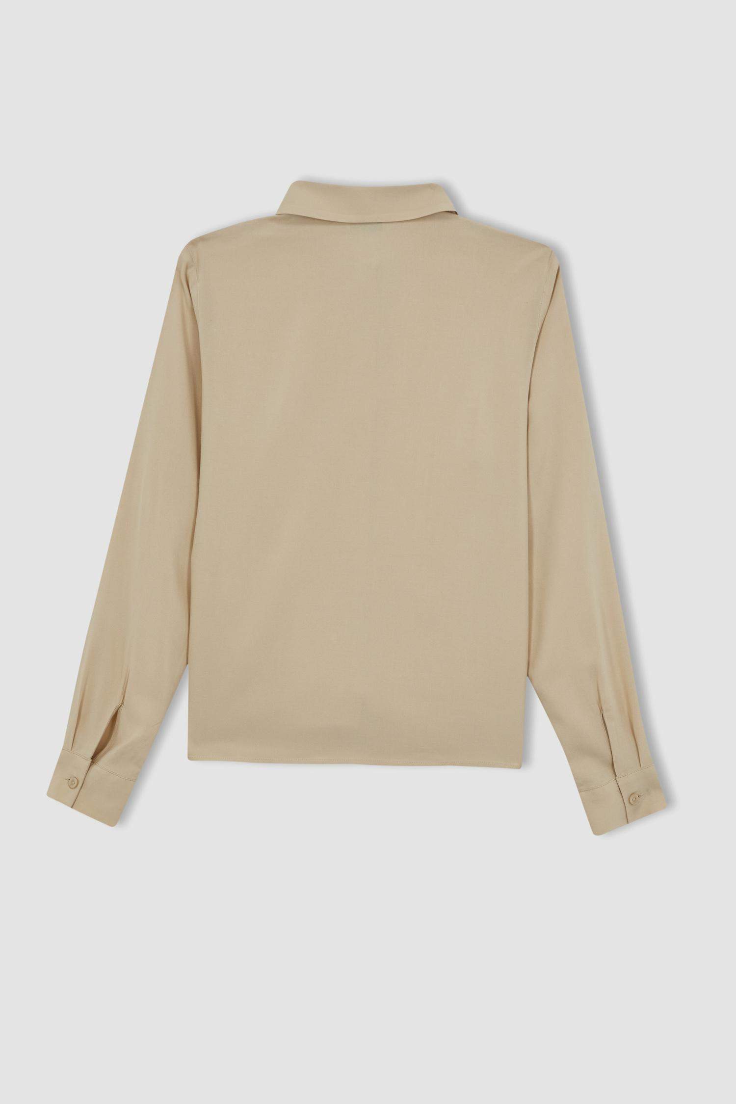 Regular Fit Shirt Collar Long Sleeve Shirt