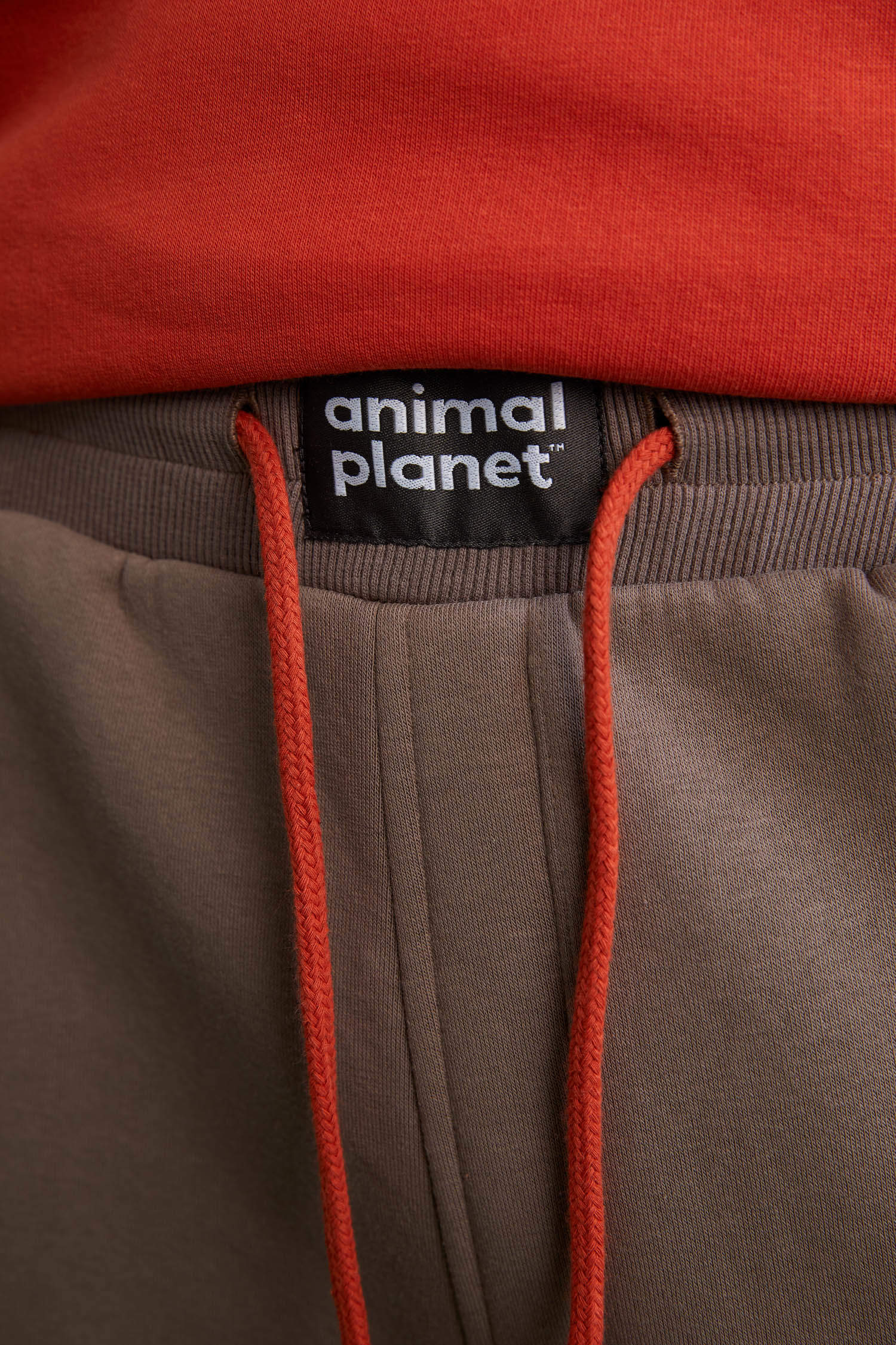 Defacto Fit Animal Planet Lisanslı İçi Yumuşak Tüylü Jogger Eşofman Altı. 4