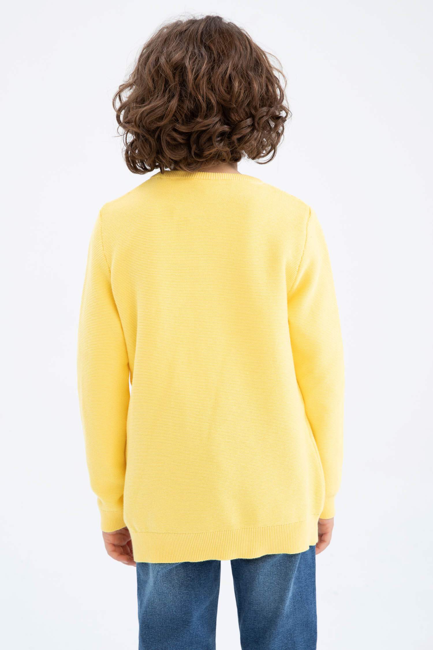 Пуловер стандартного кроя с круглым вырезом из хлопка для мальчиков