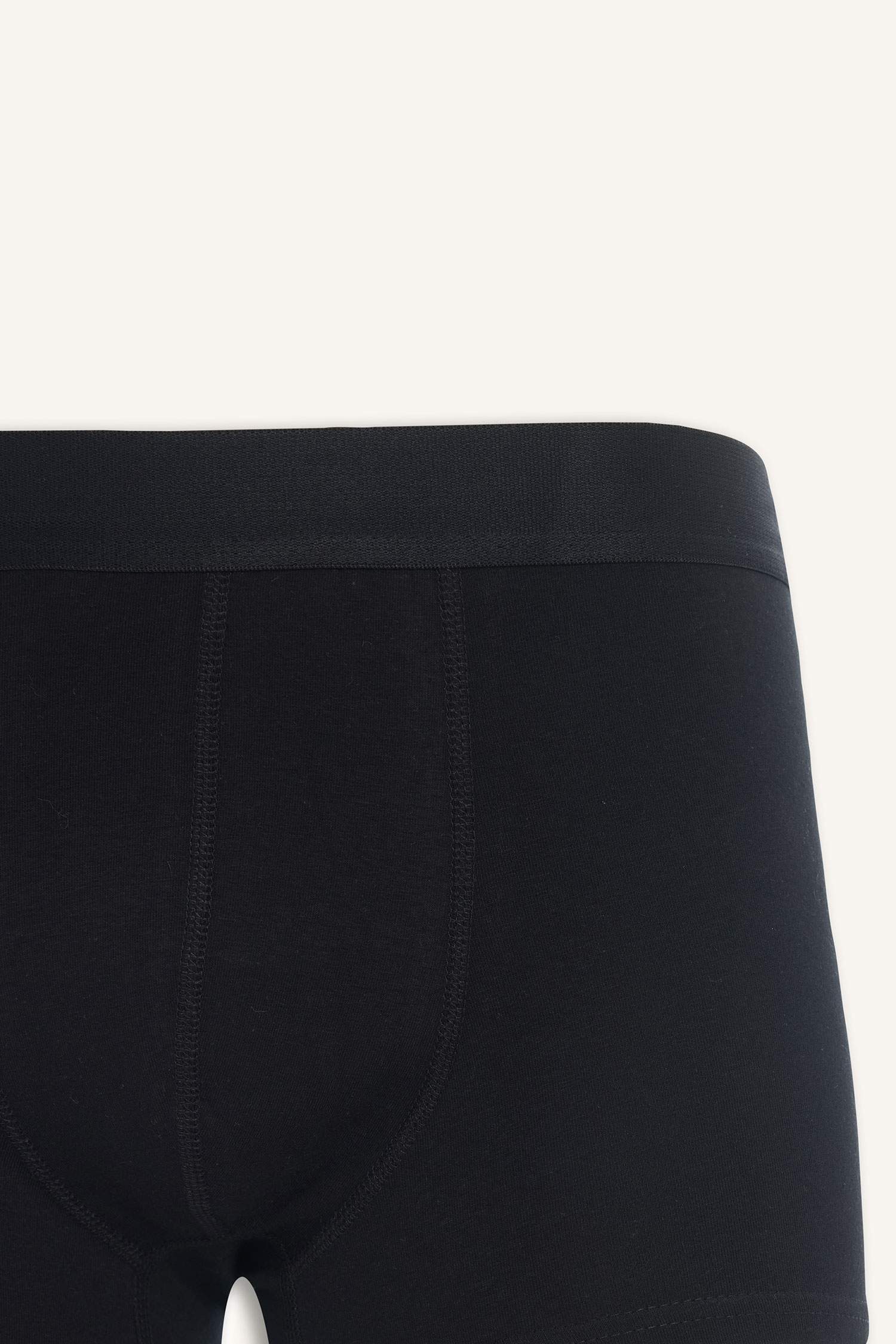 Regular Fit 3'lü Boxer