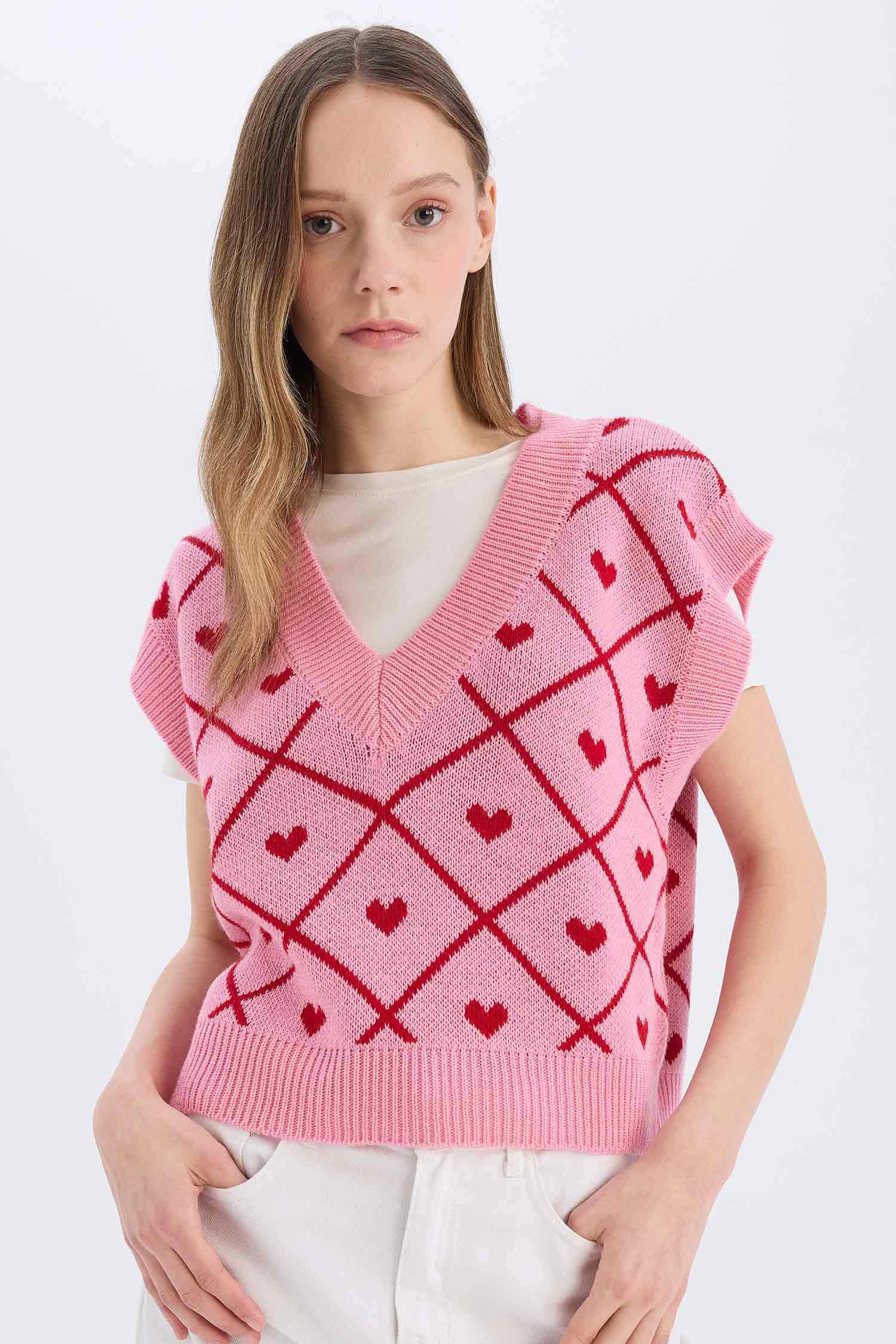 Regular Fit V-Neck Vest