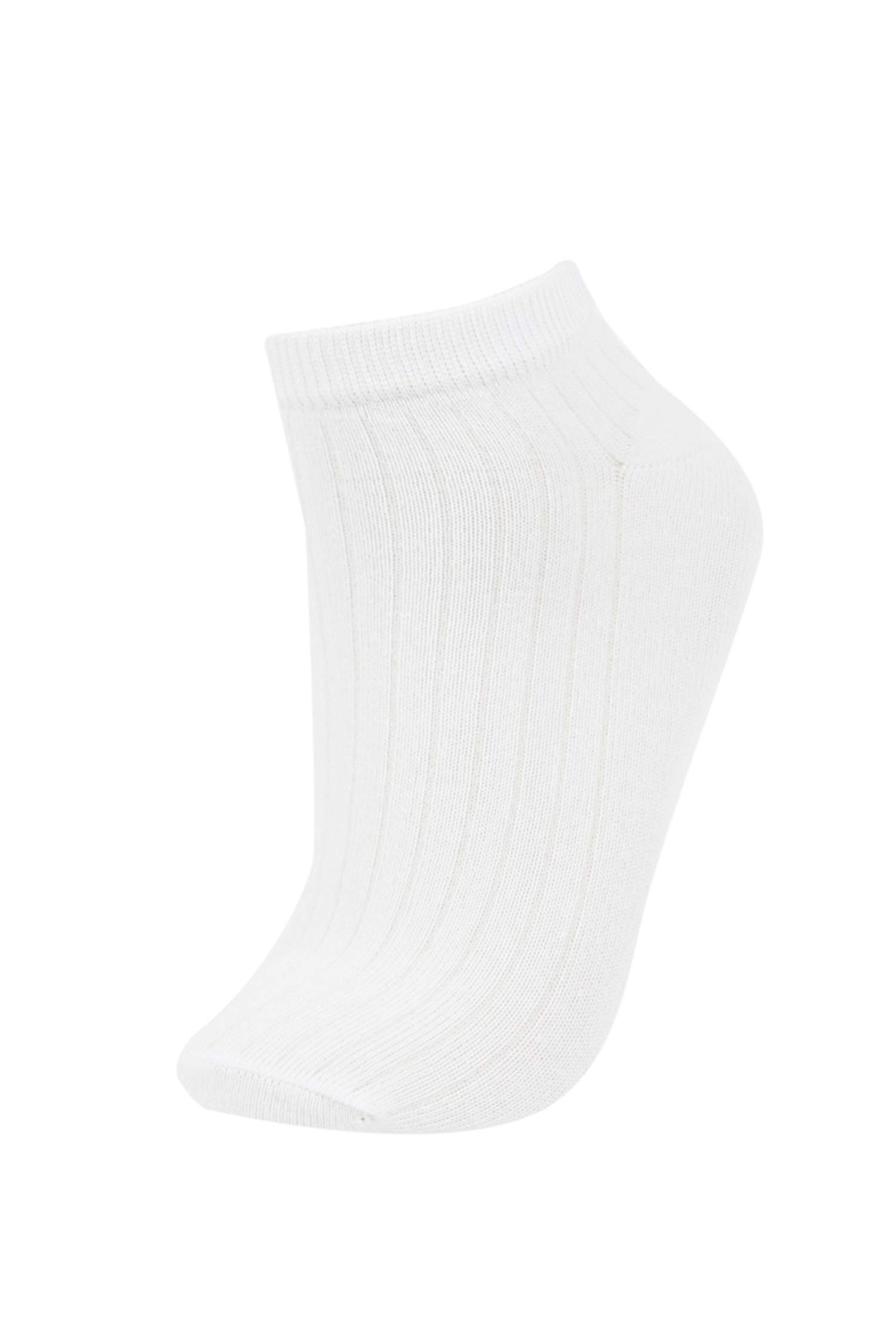 Kadın 5'li Pamuklu Derbi Patik Çorap