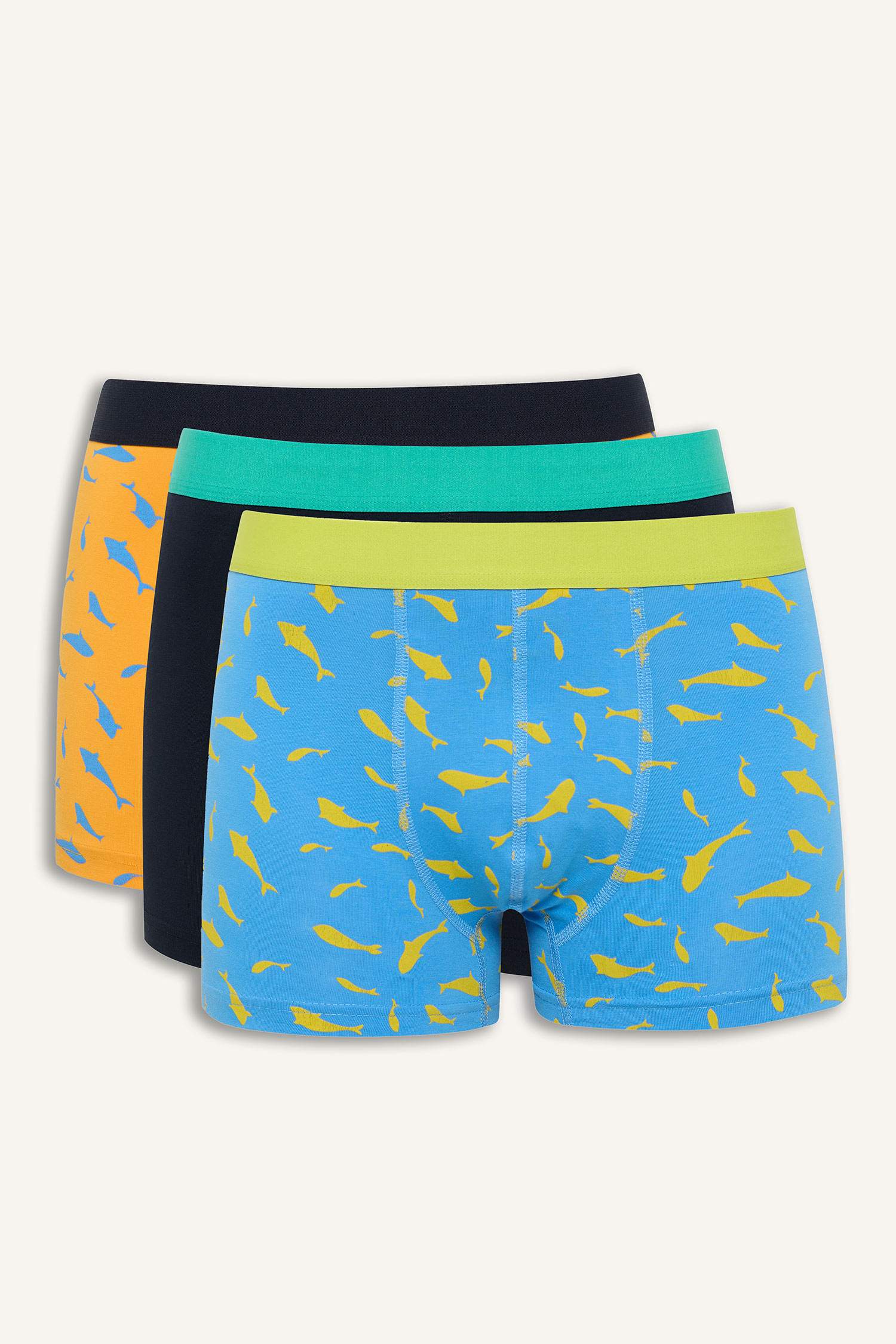 Regular Fit Printed 3 Piece Boxers