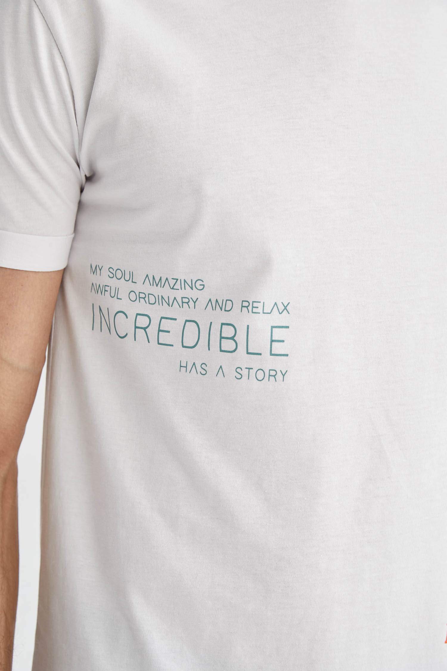 Regular Fit Bisiklet Yaka Pamuklu Penye Tişört