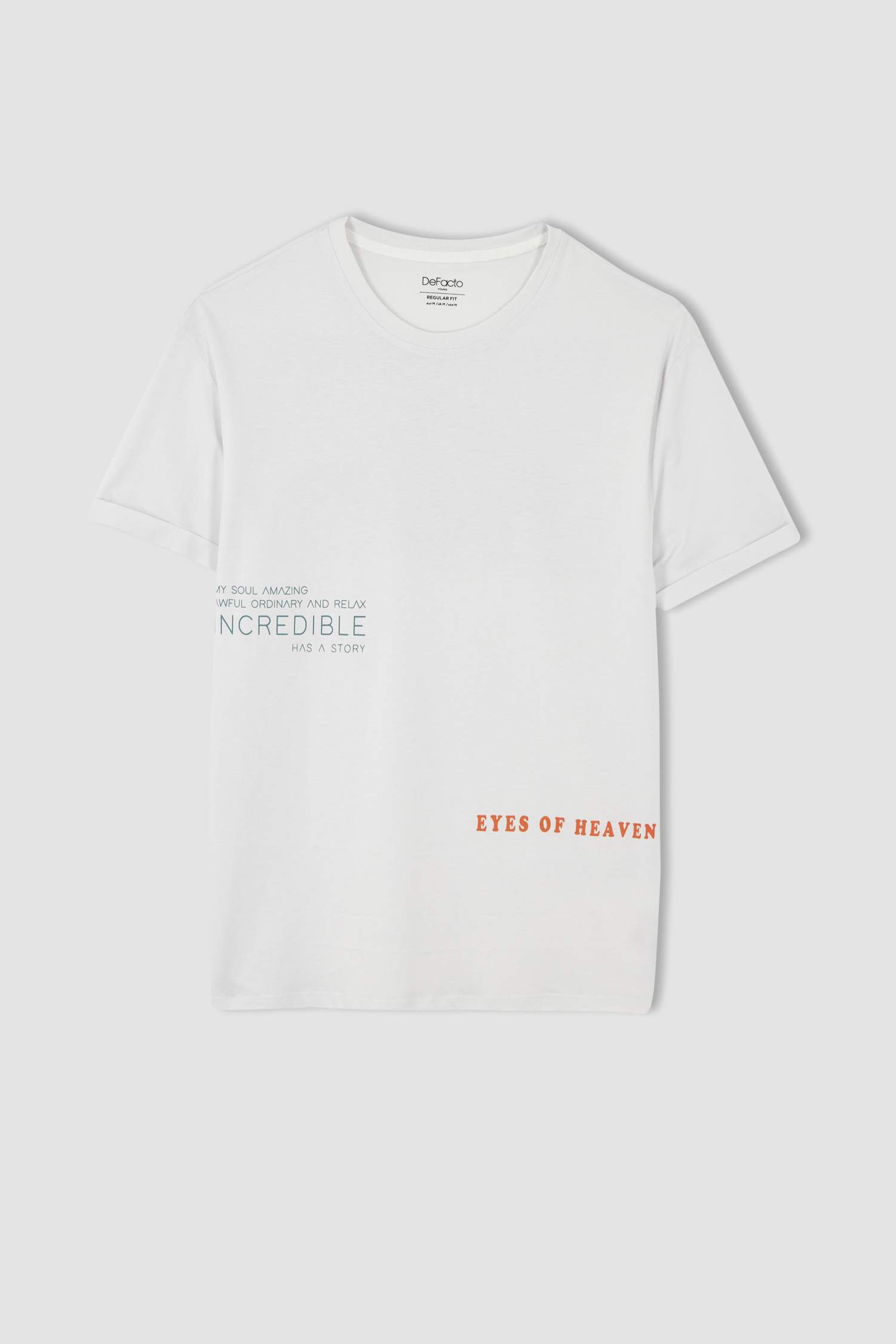 Regular Fit Bisiklet Yaka Pamuklu Penye Tişört