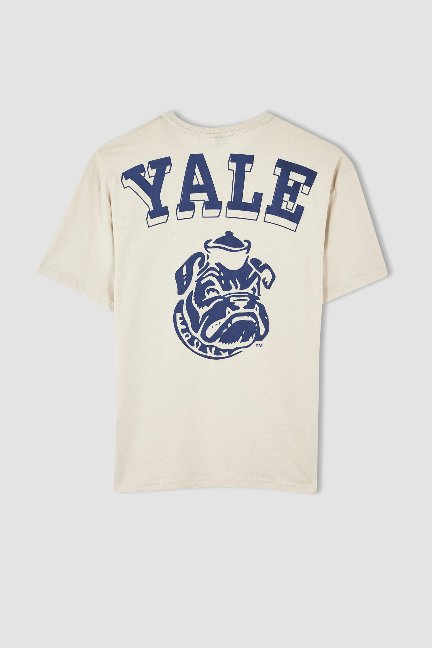 Defacto Yale University Boxy Fit Bisiklet Yaka Baskılı Tişört. 4