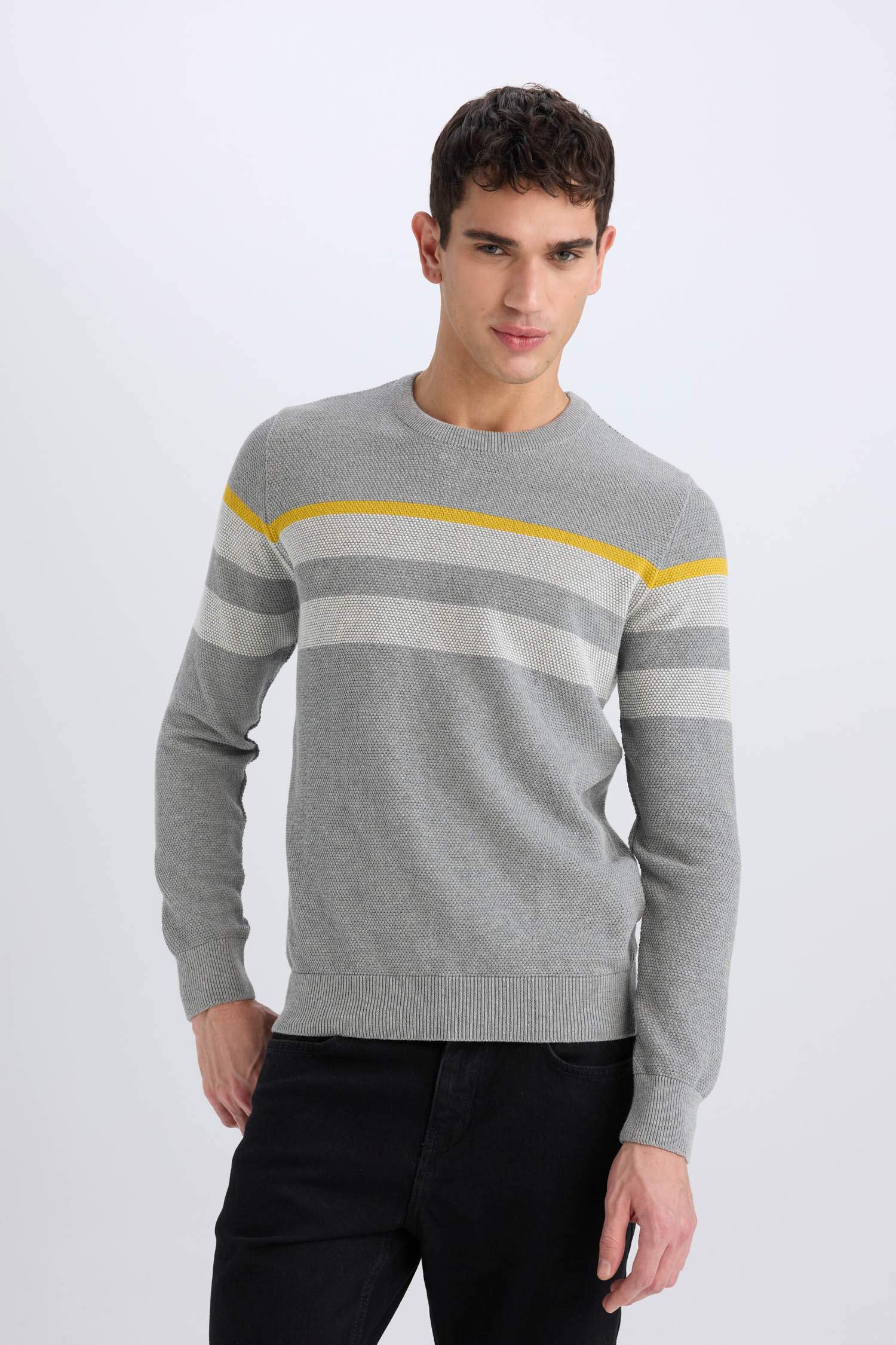 Standard Fit Crew Neck Knitwear Pullover