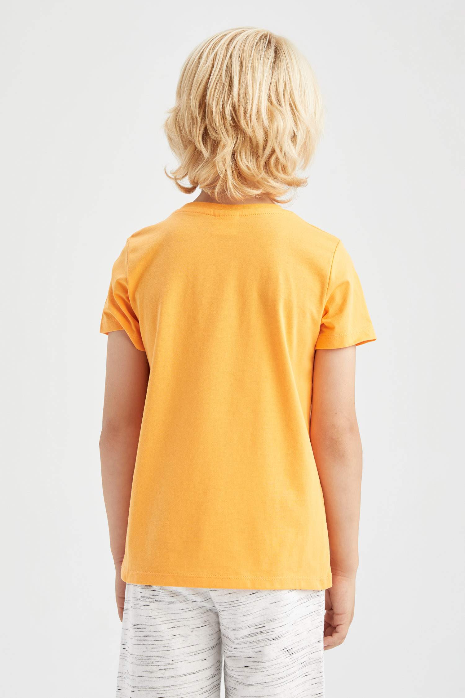 Қысқа Жеңді Жеңіл жейде