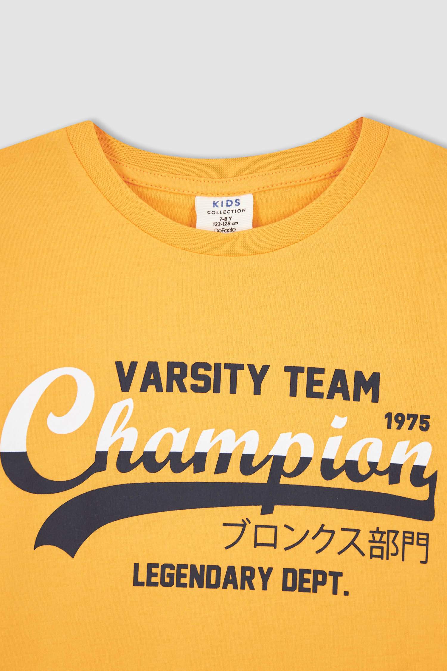 Қысқа Жеңді Жеңіл жейде