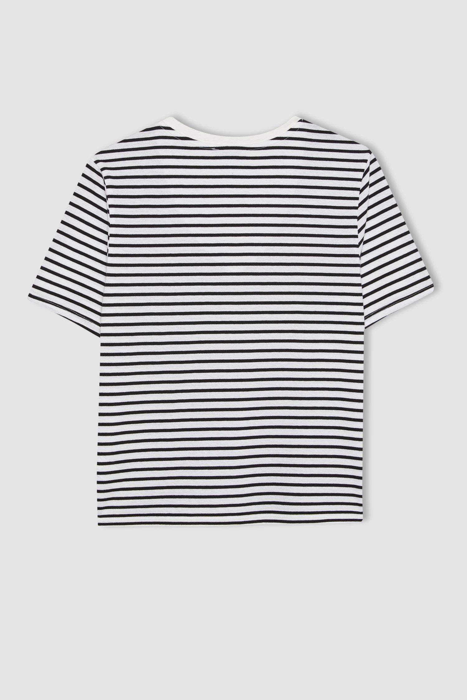 Regular Fit V Neck Striped Basic T-Shirt