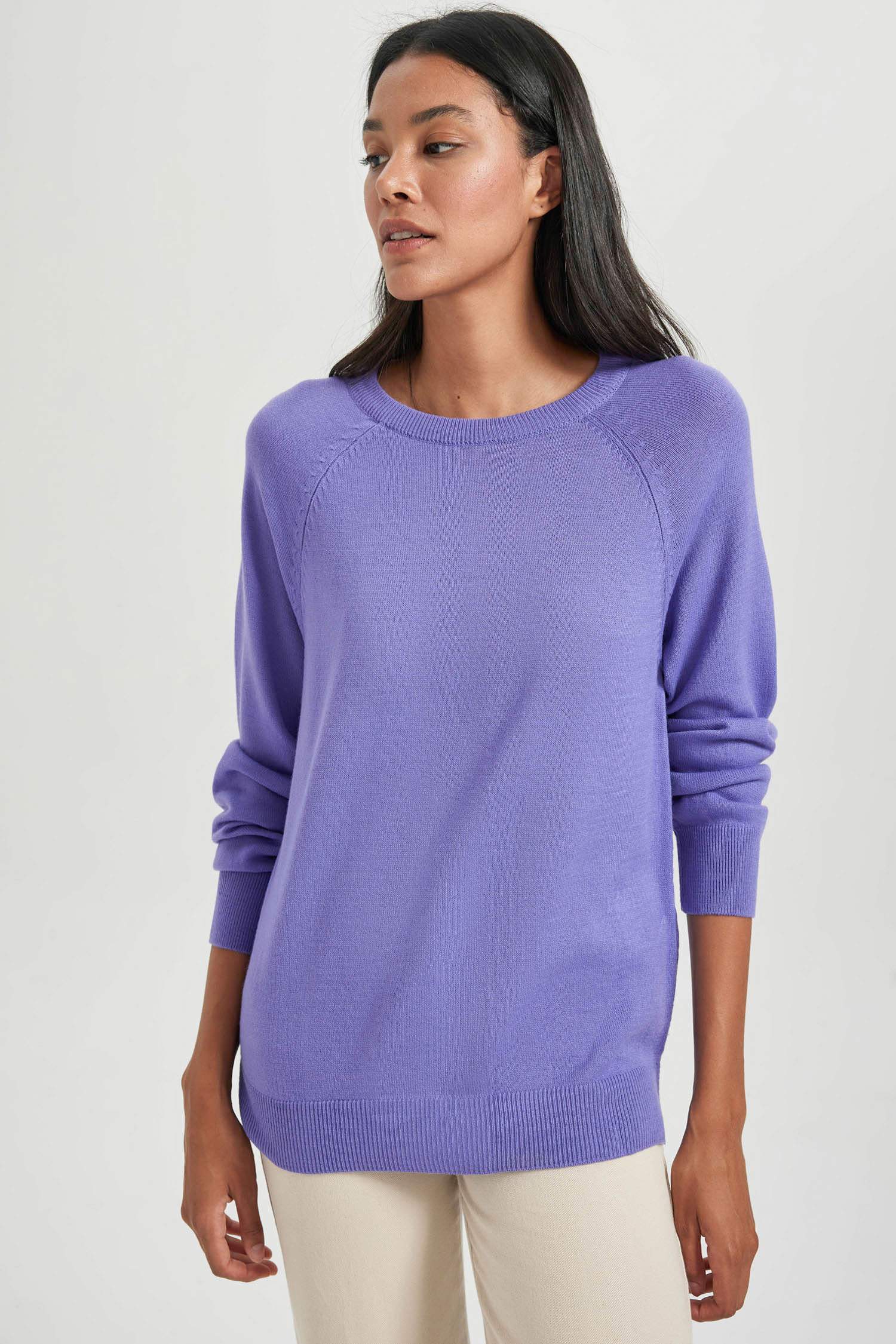 Relax Fit Crew Neck Basic Knitted Pullover