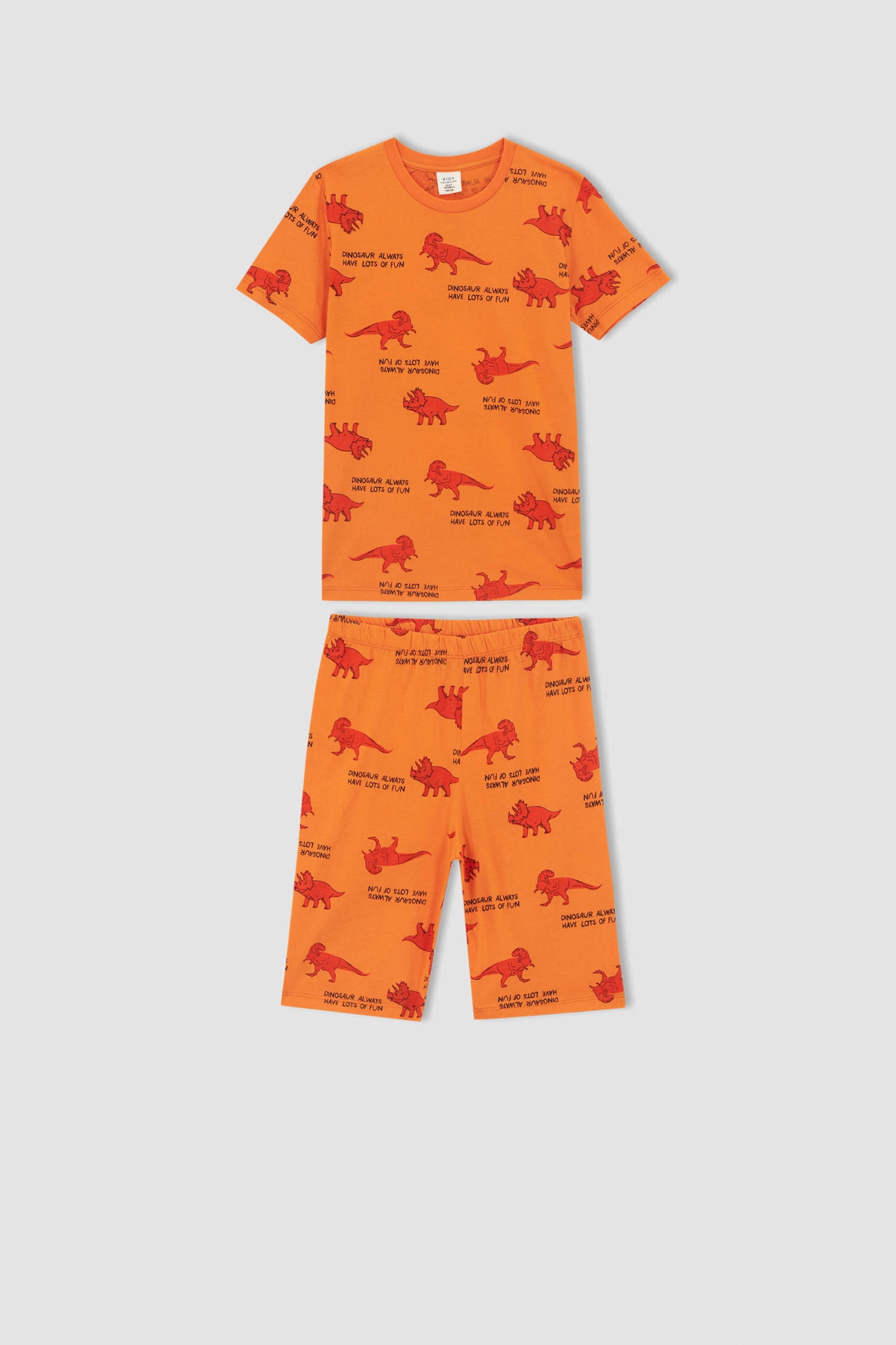 Defacto Erkek Çocuk Dinozor Desenli Kısa Kollu Pamuklu Pijama Takım. 1