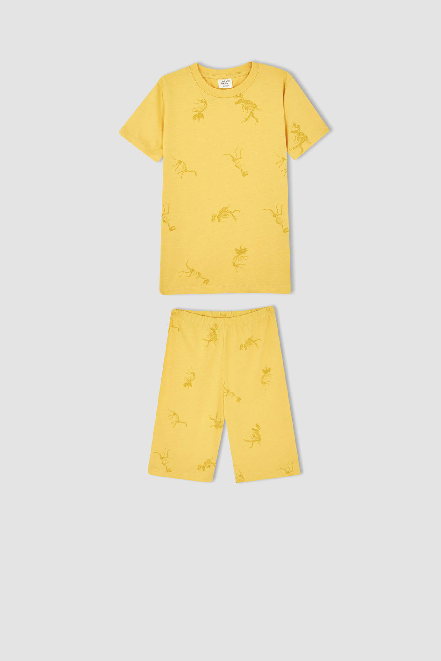 Defacto Erkek Çocuk Regular Fit Dinozor Desenli Kısa Kollu Pamuklu Pijama Takım. 1