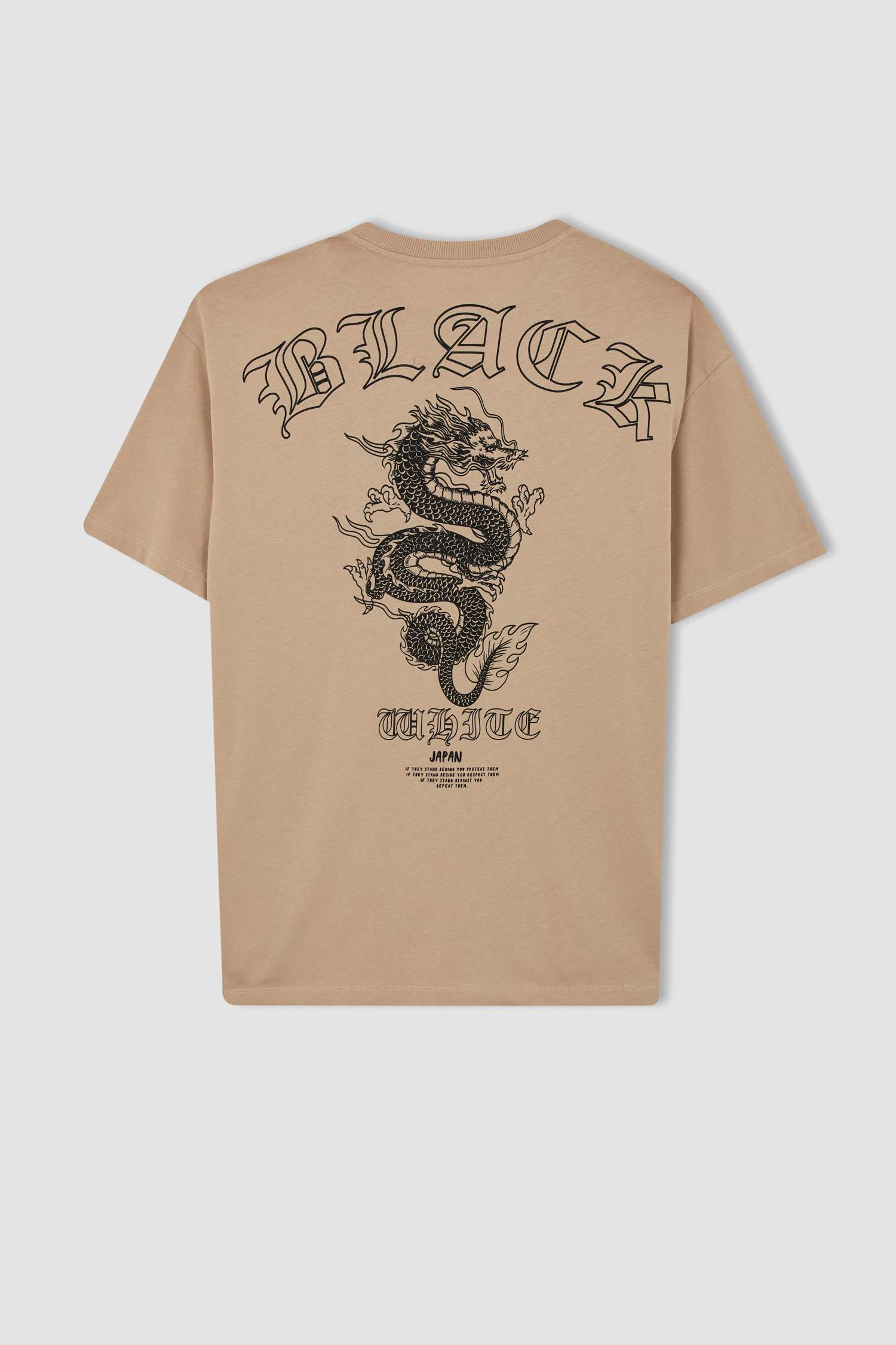 Boxy Fit Bisiklet Yaka Baskılı Pamuklu Penye Tişört